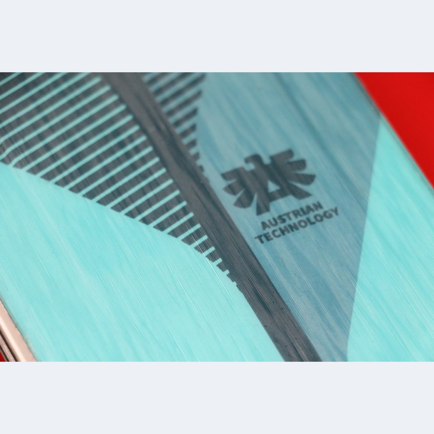 2024 Kastle FX 96 Women's Skis