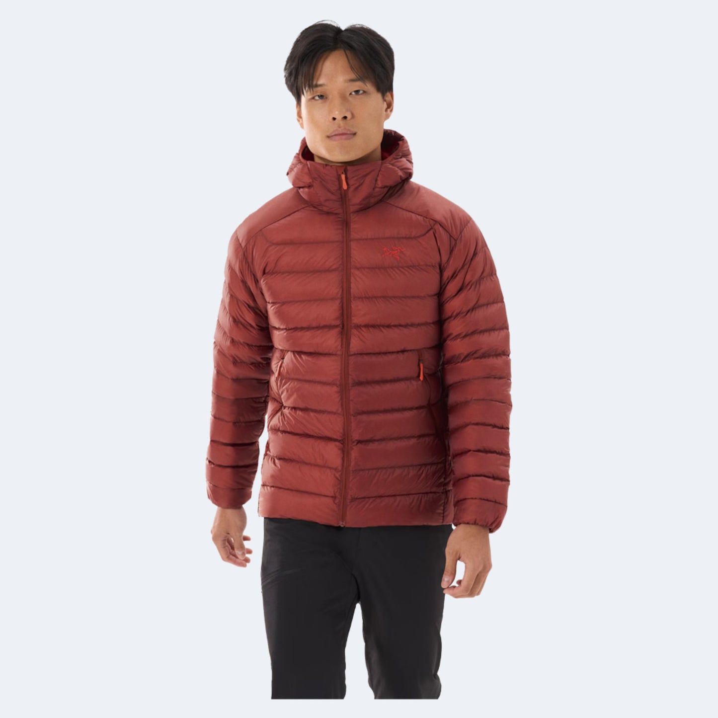 Arc'teryx Cerium Men's Hoody