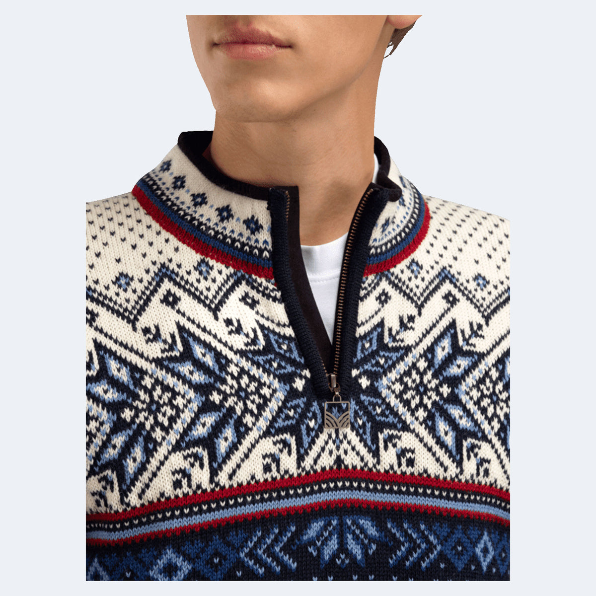 Dale of Norway Vail Men's Sweater