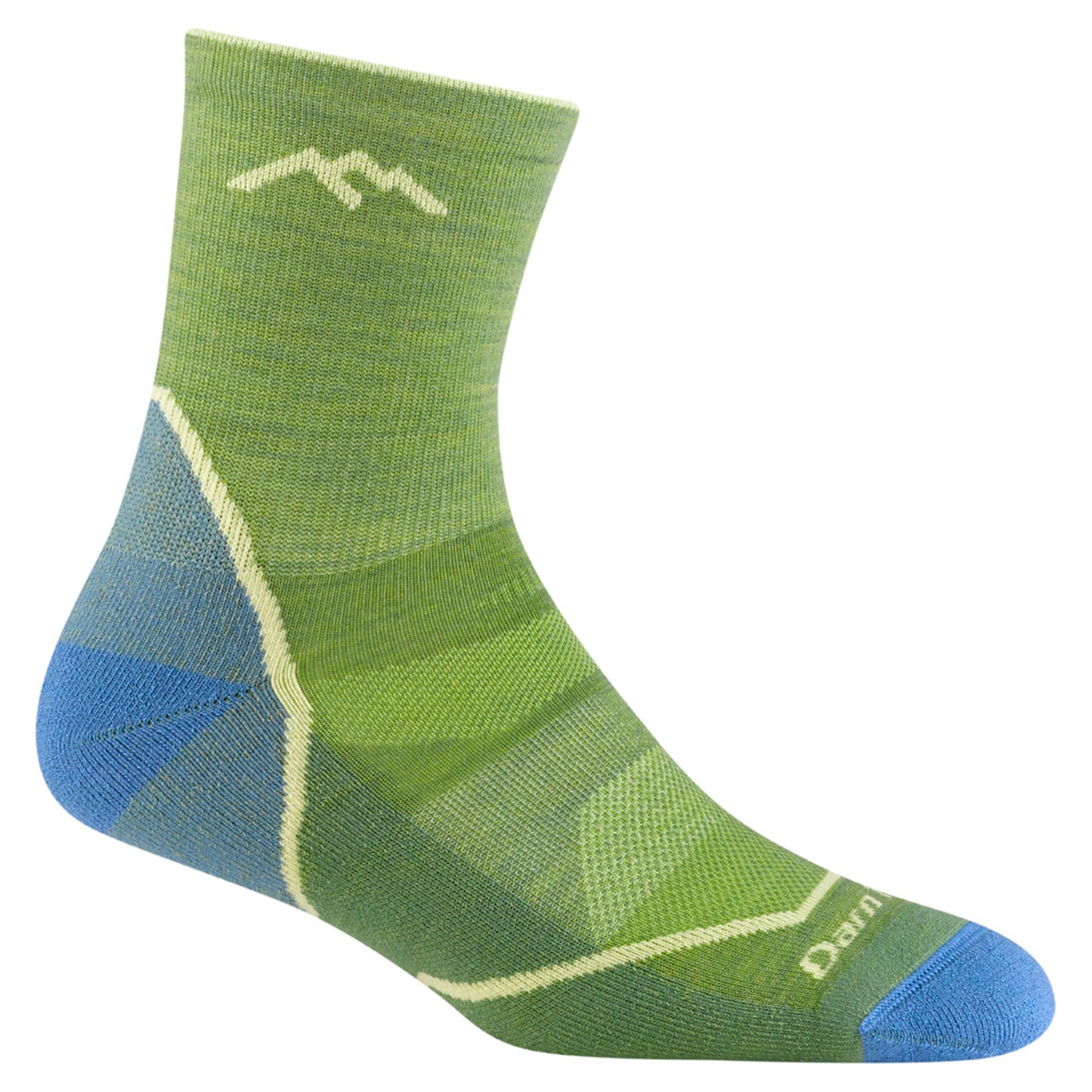 Darn Tough Light Hiker Micro Crew Youth Sock - WILLOW - S