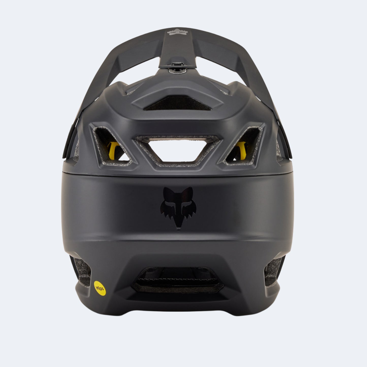 Fox Proframe Helmet