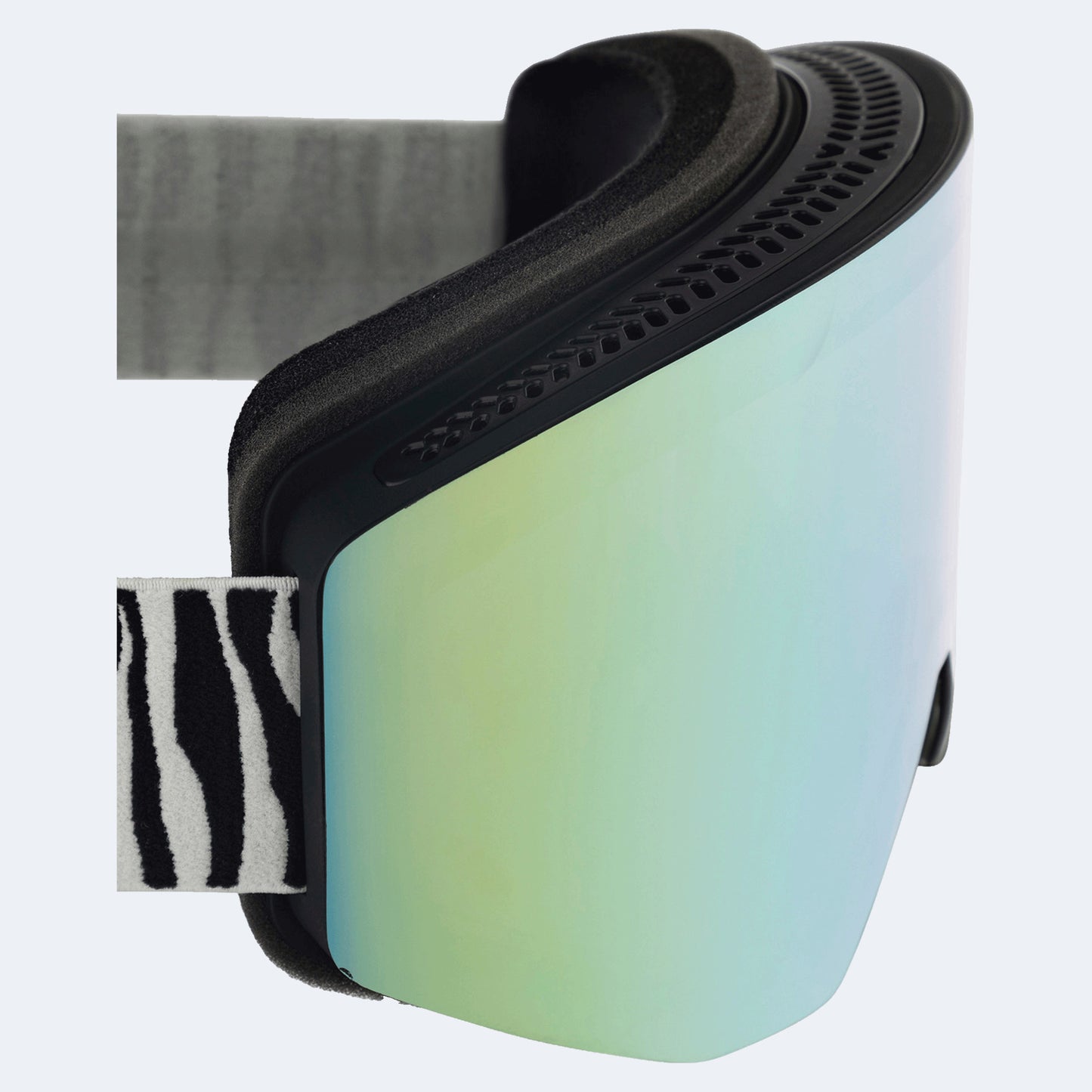 Rossignol Otava Goggles