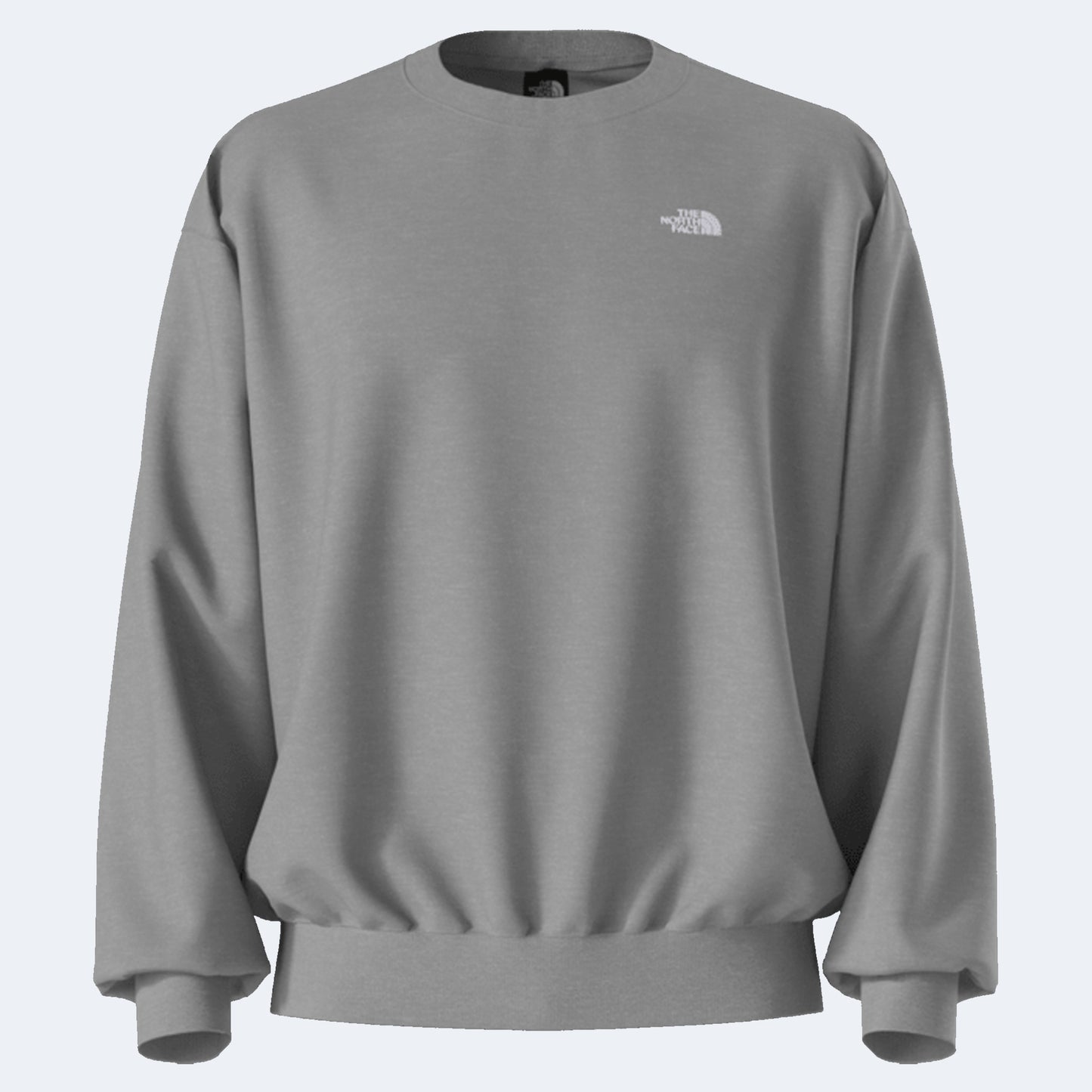 The North Face Evolution Simple Dome Oversized Men's Crew
