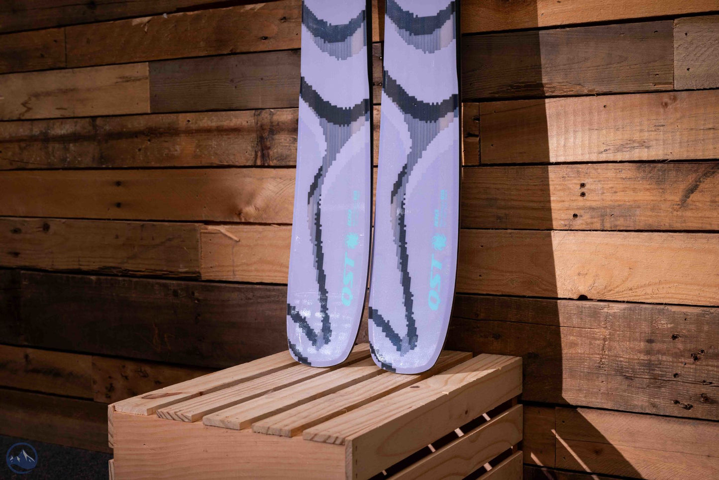 2026 Salomon QST 100 Skis