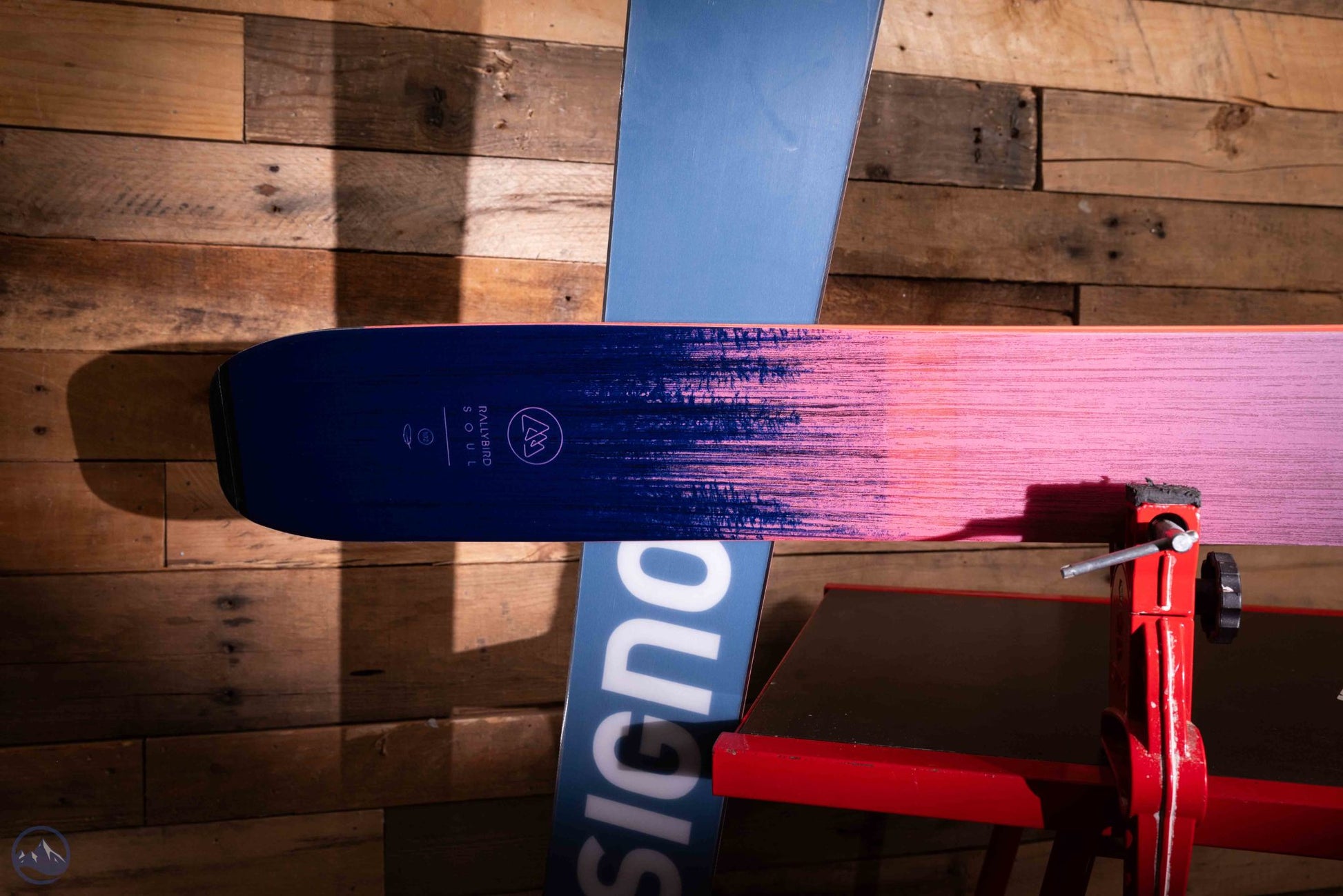 2026 Rossignol Rallybird Soul 102 Open Women's Skis