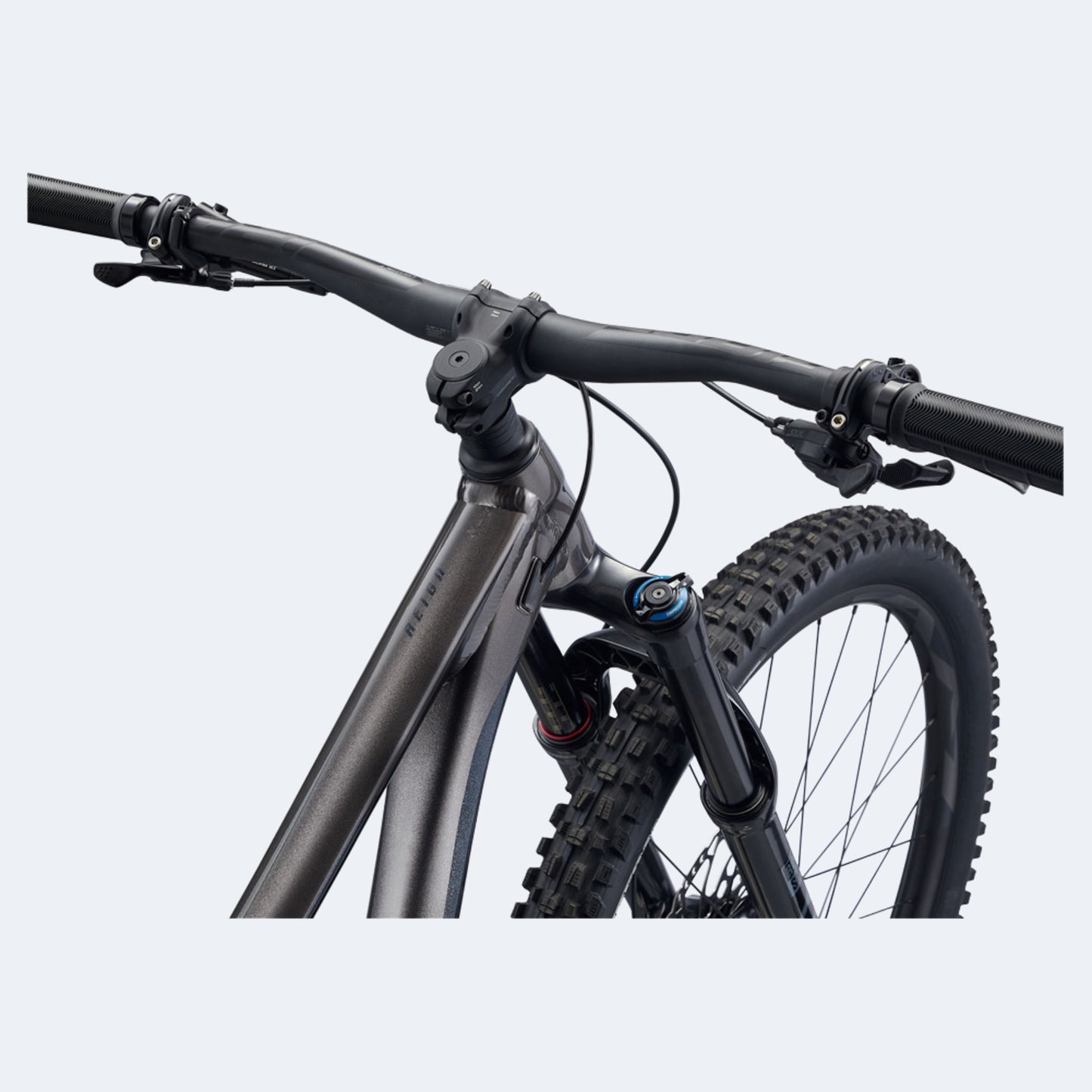 2022 Giant Reign 29 Mountain Bike