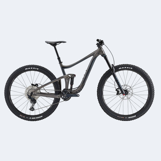 2022 Giant Reign 29 Mountain Bike