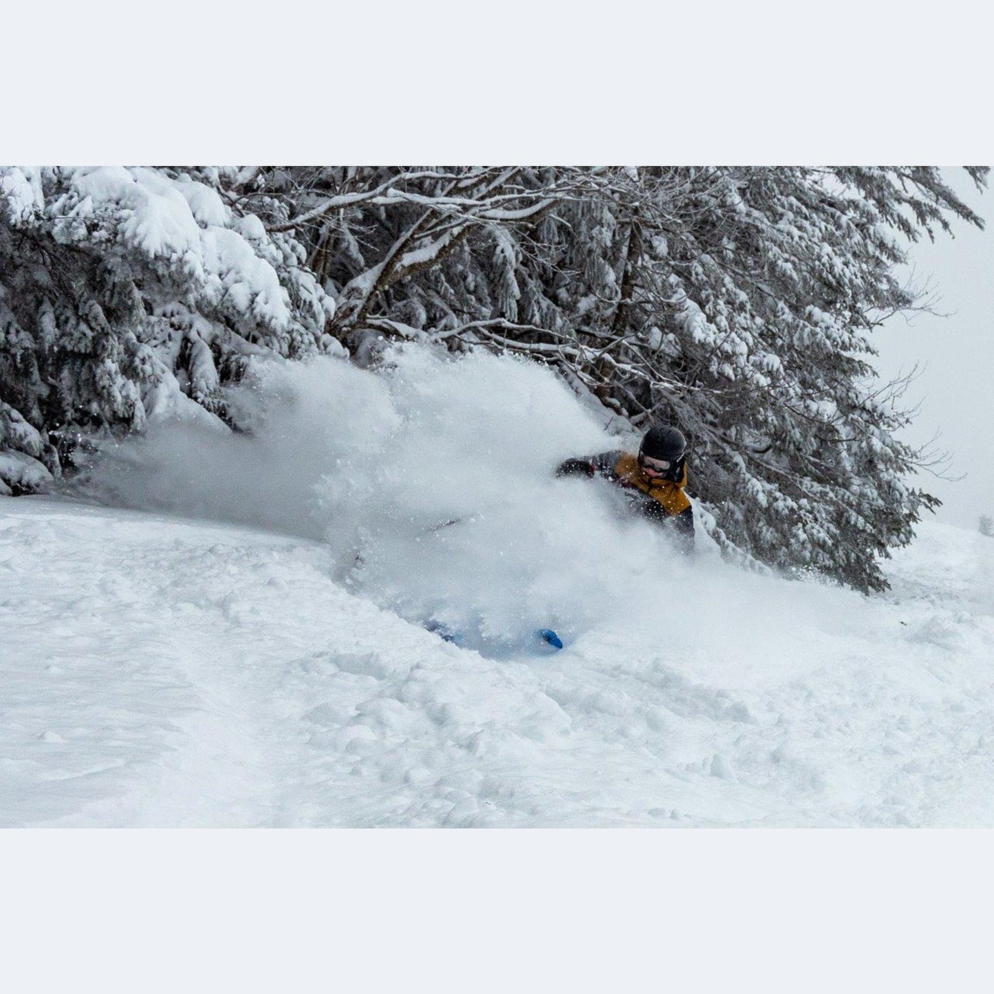 2023 Nordica Enforcer 104 Free Skis