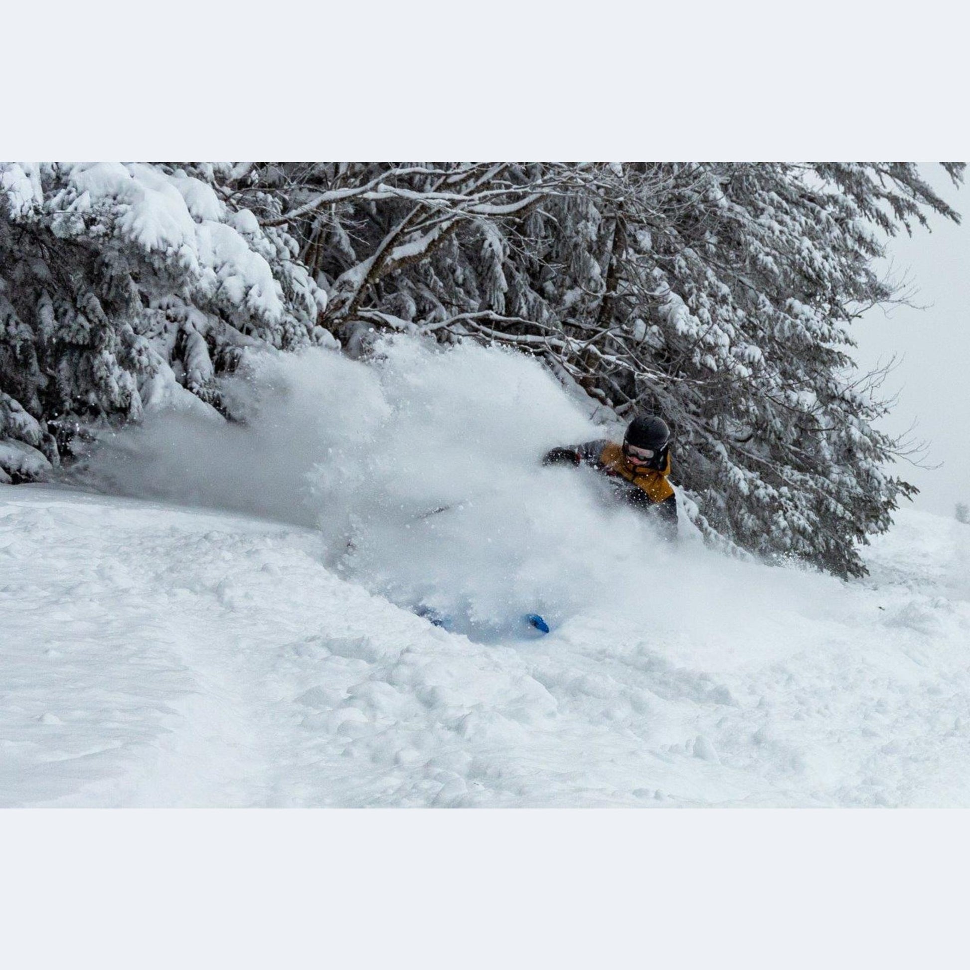 2023 Nordica Enforcer 104 Free Skis