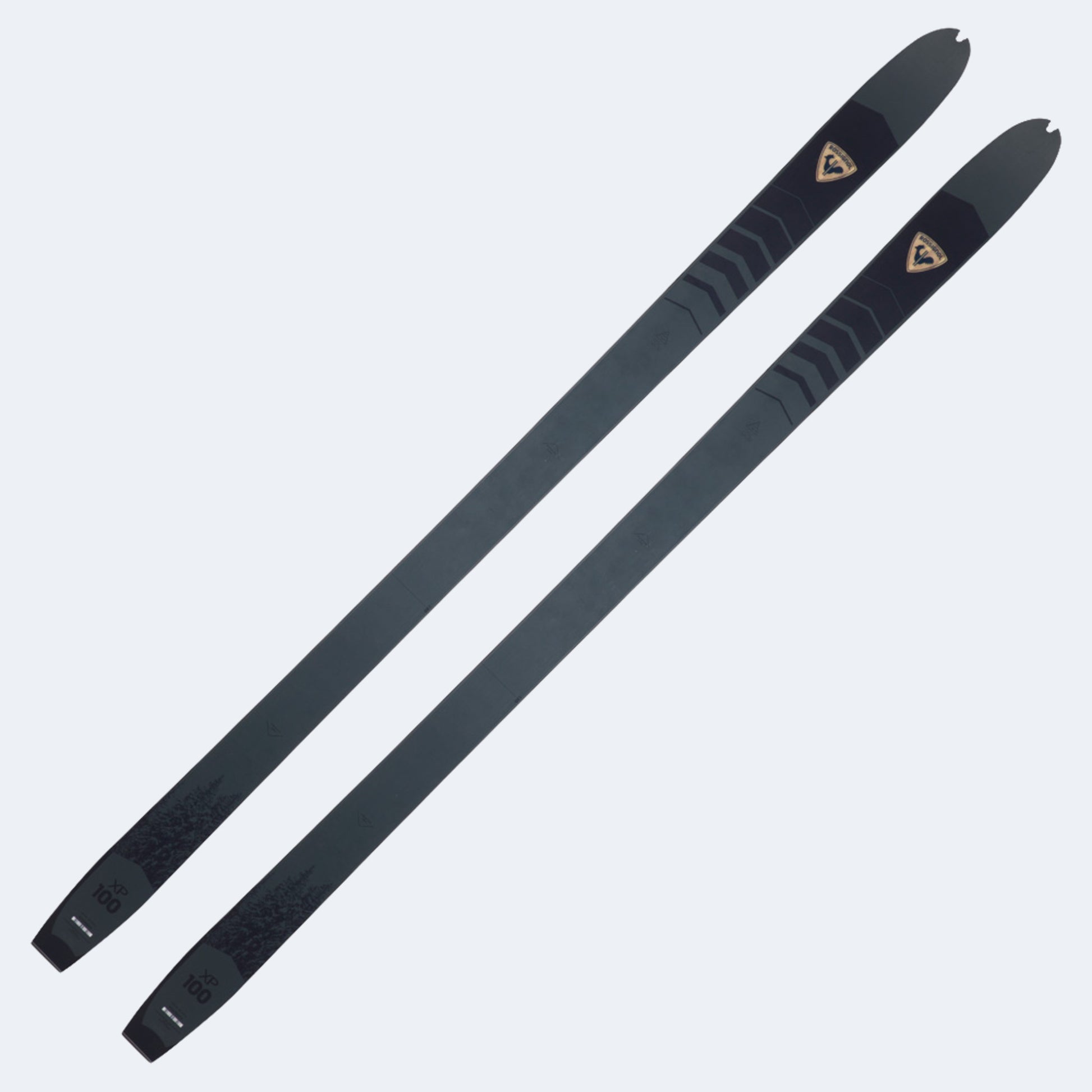 2025 Rossignol XP 100 Positrack Cross-Country Skis