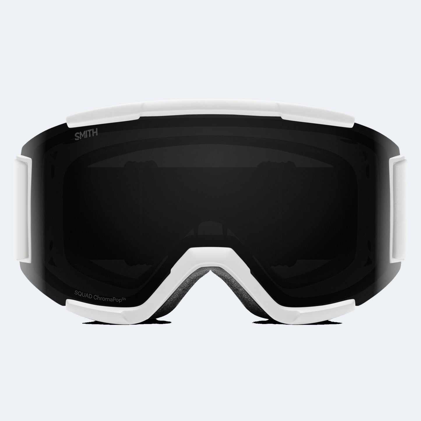 Smith Squad Goggle