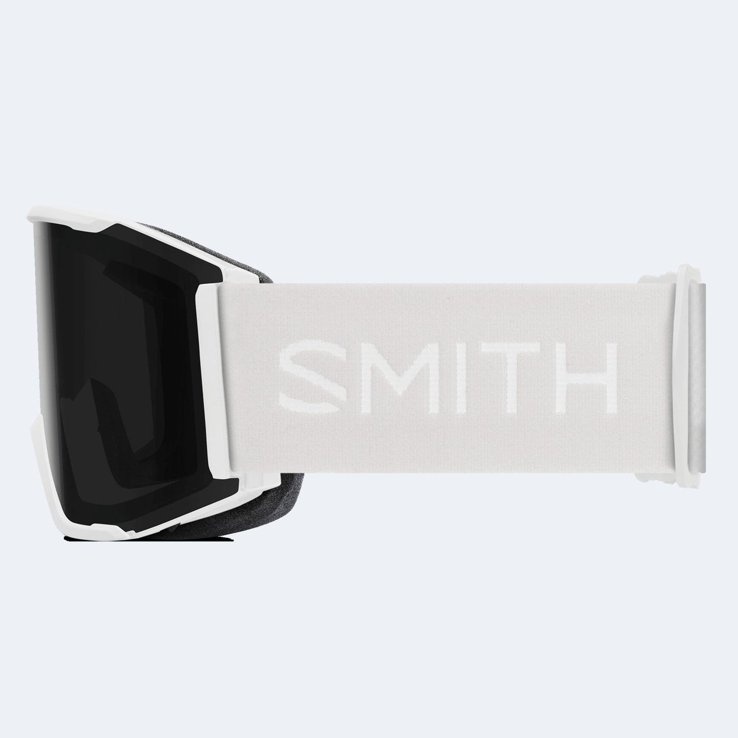 Smith Squad Goggle