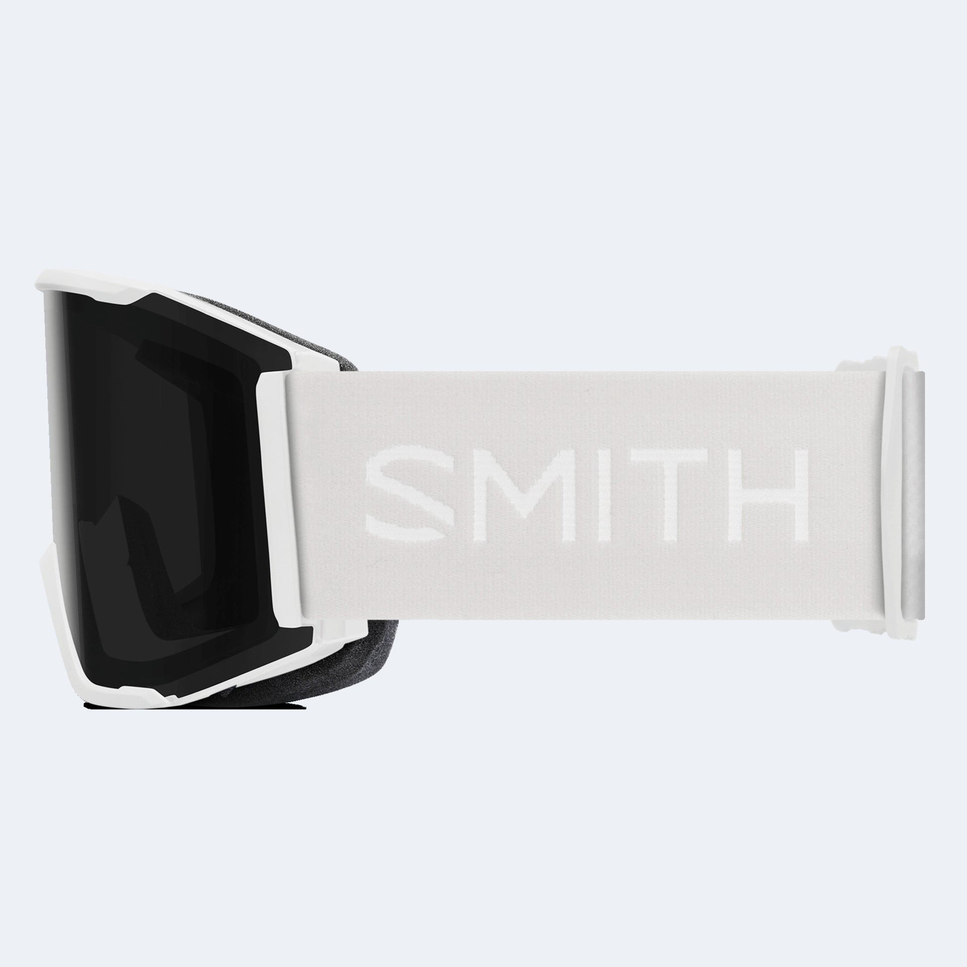 Smith Squad Goggle