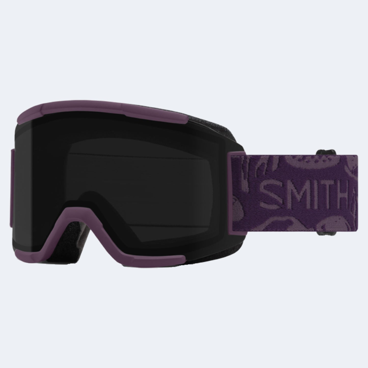 Smith Squad Goggle