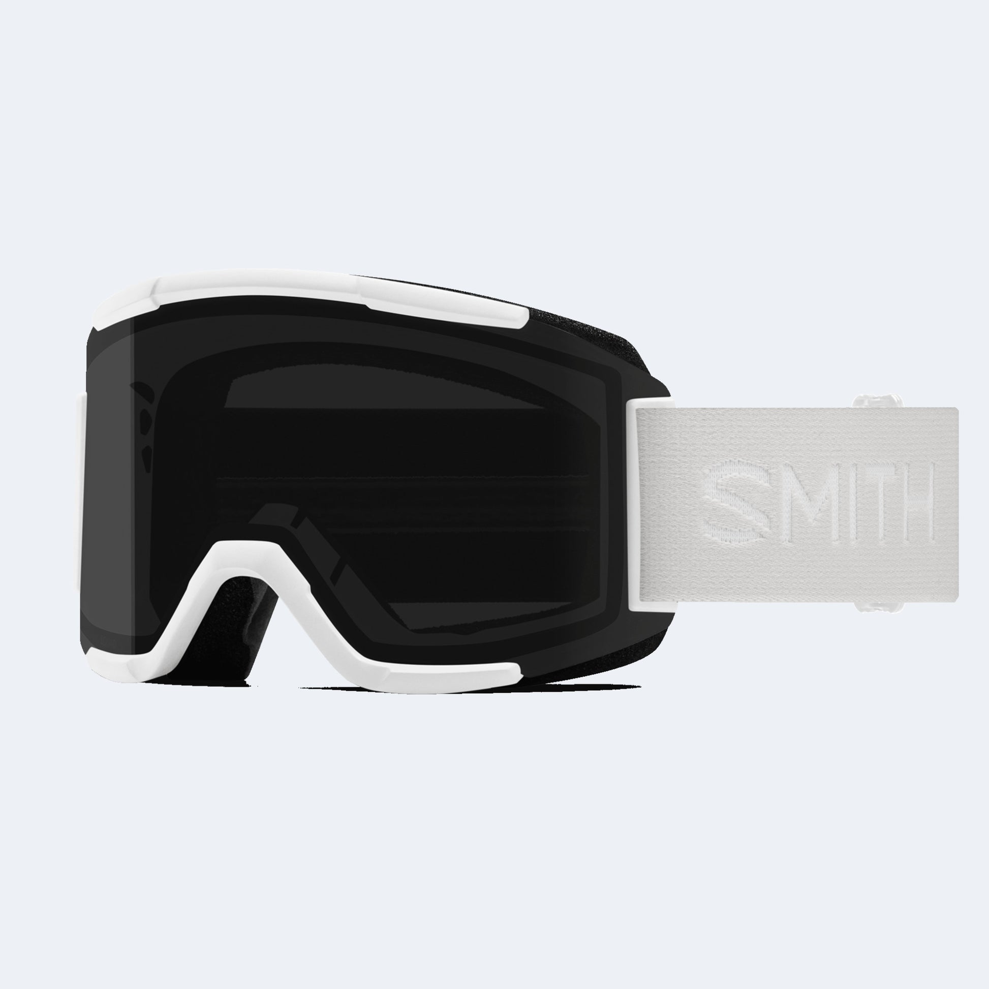 Smith Squad Goggle