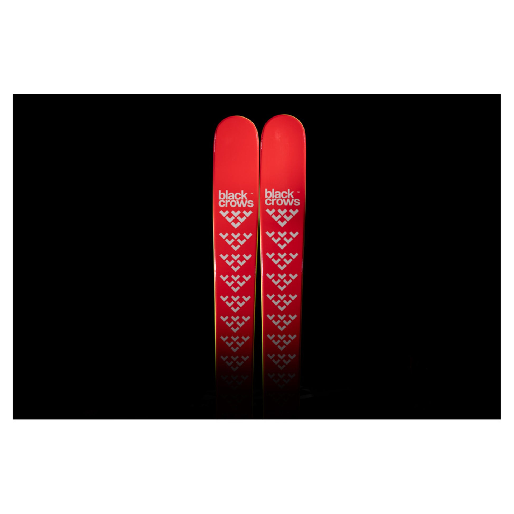 2024 Black Crows Camox Jr Skis