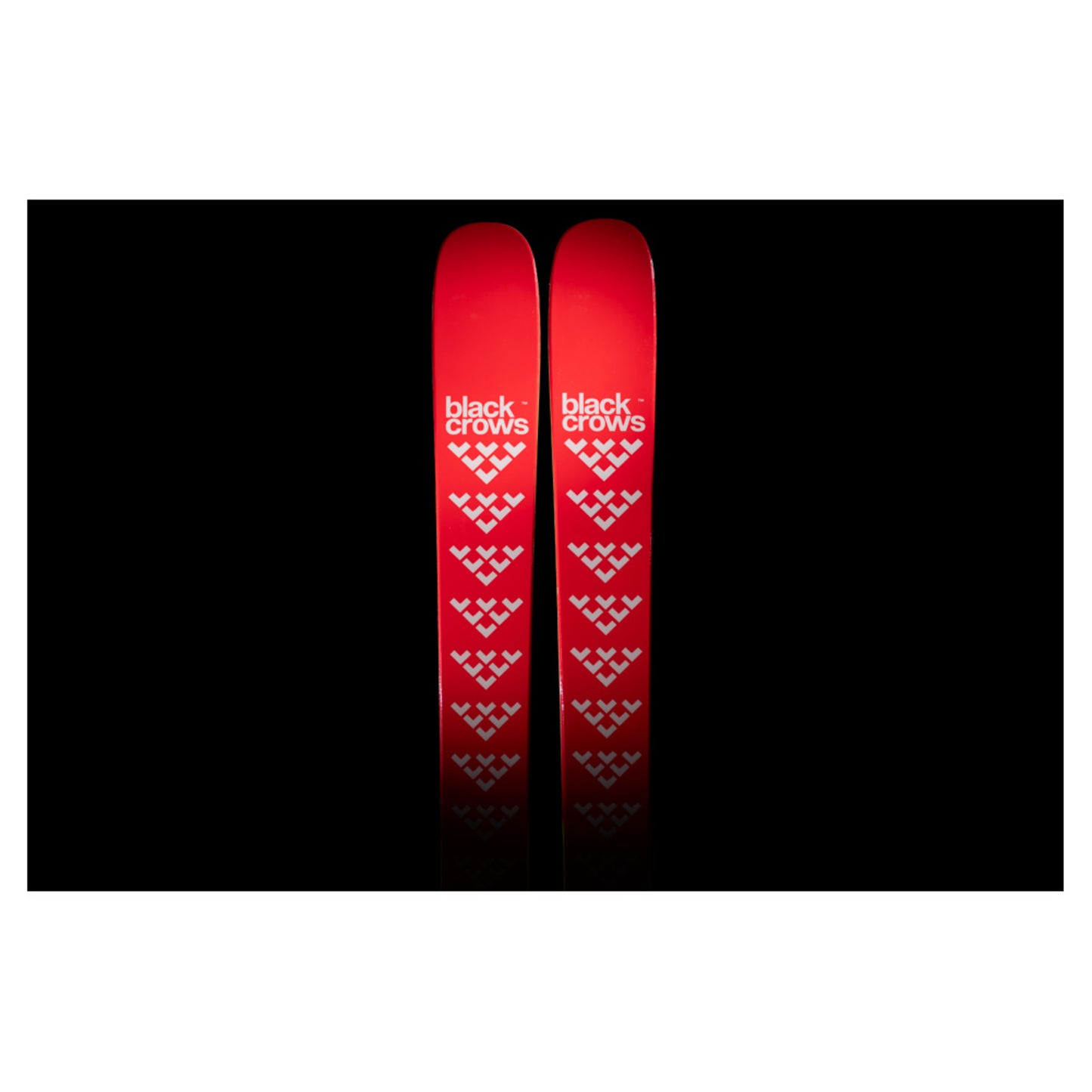 2024 Black Crows Camox Skis