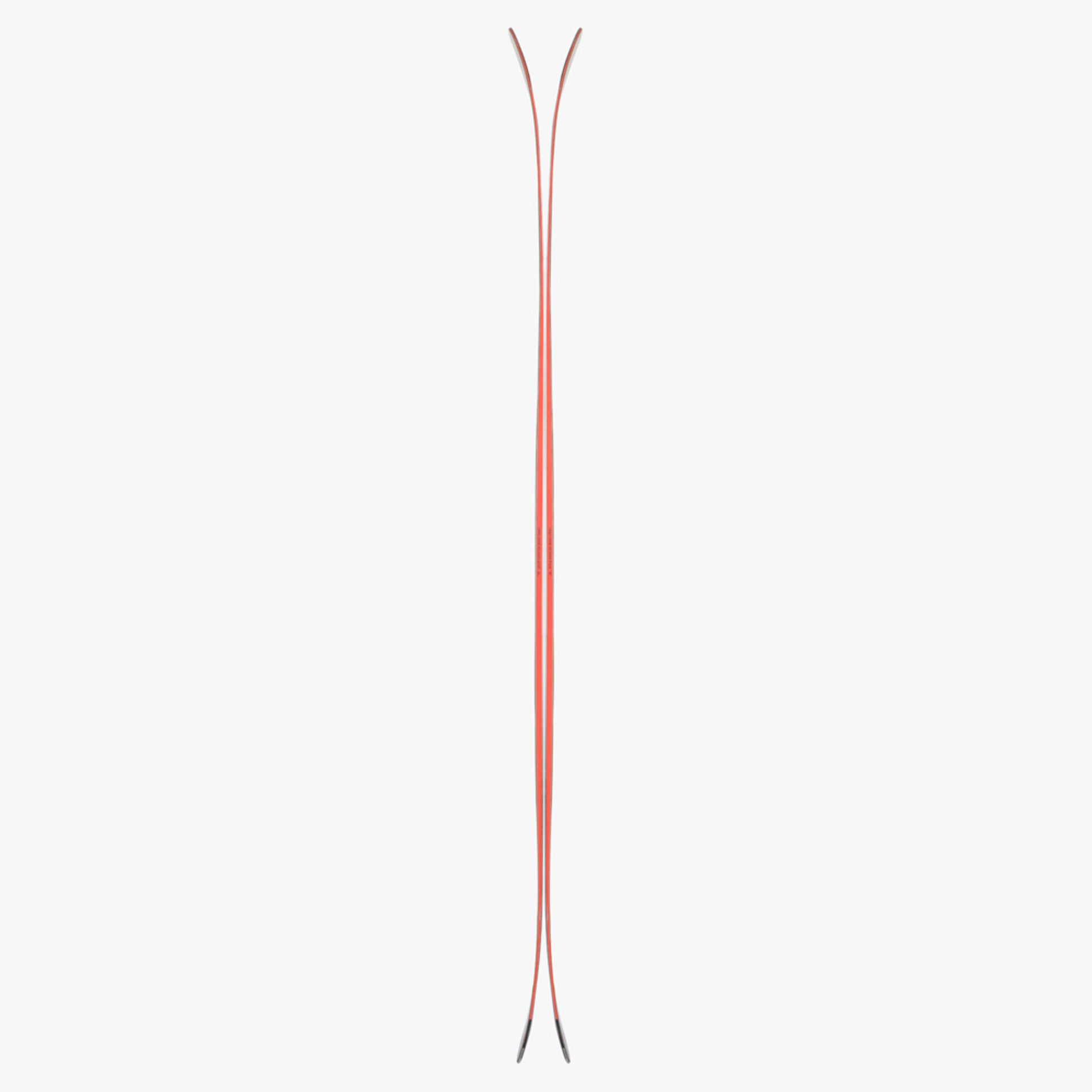 2024 Black Crows Justis Skis - 189