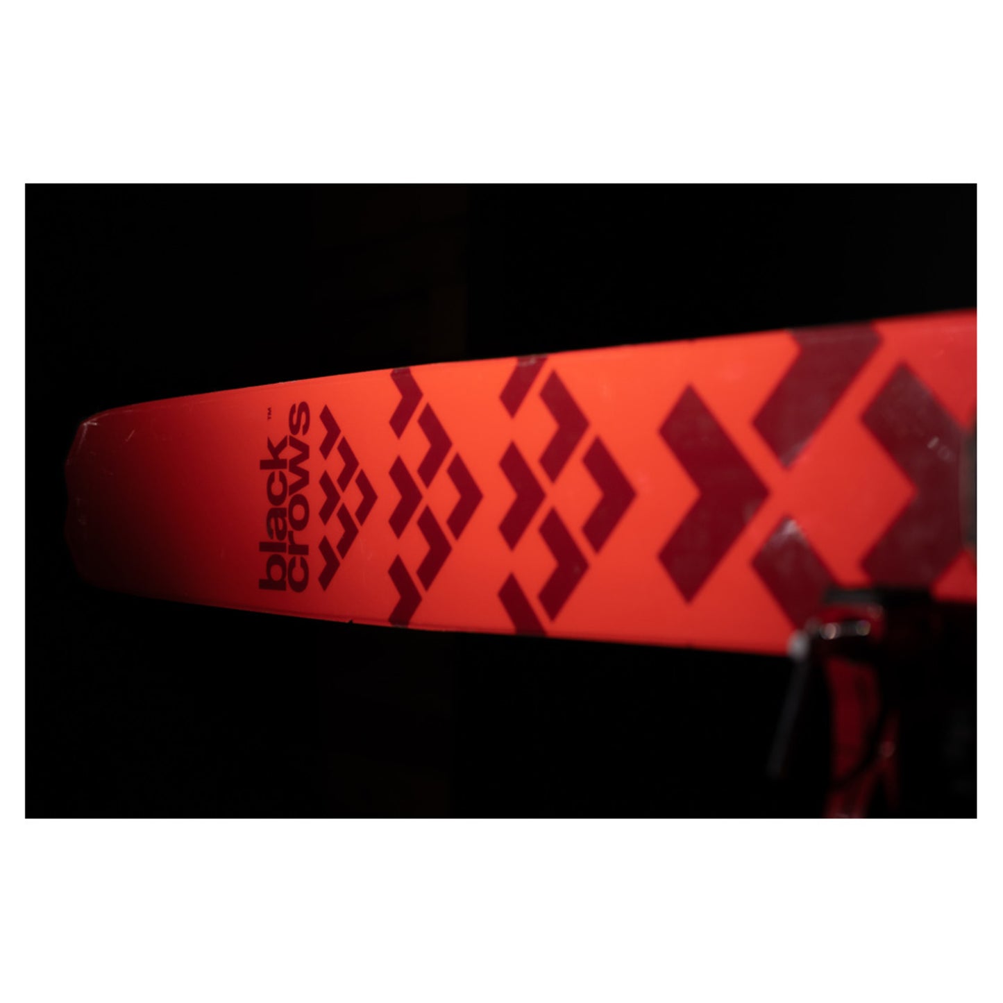 2024 Black Crows Nocta Skis