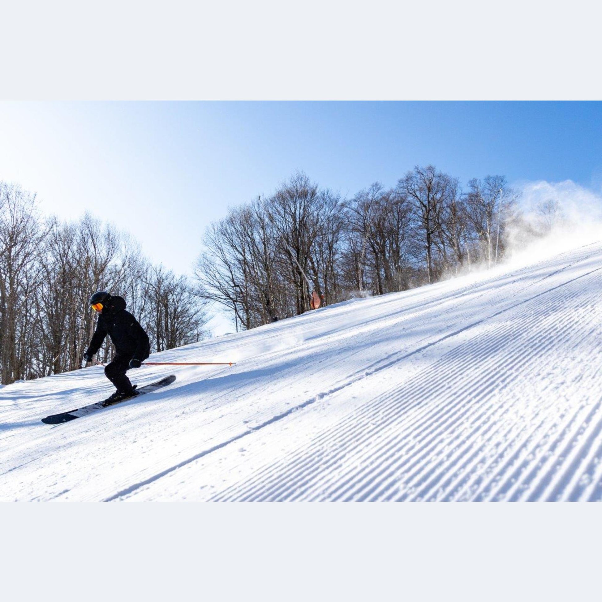 2024 Dynastar M-Free 108 Open Ski