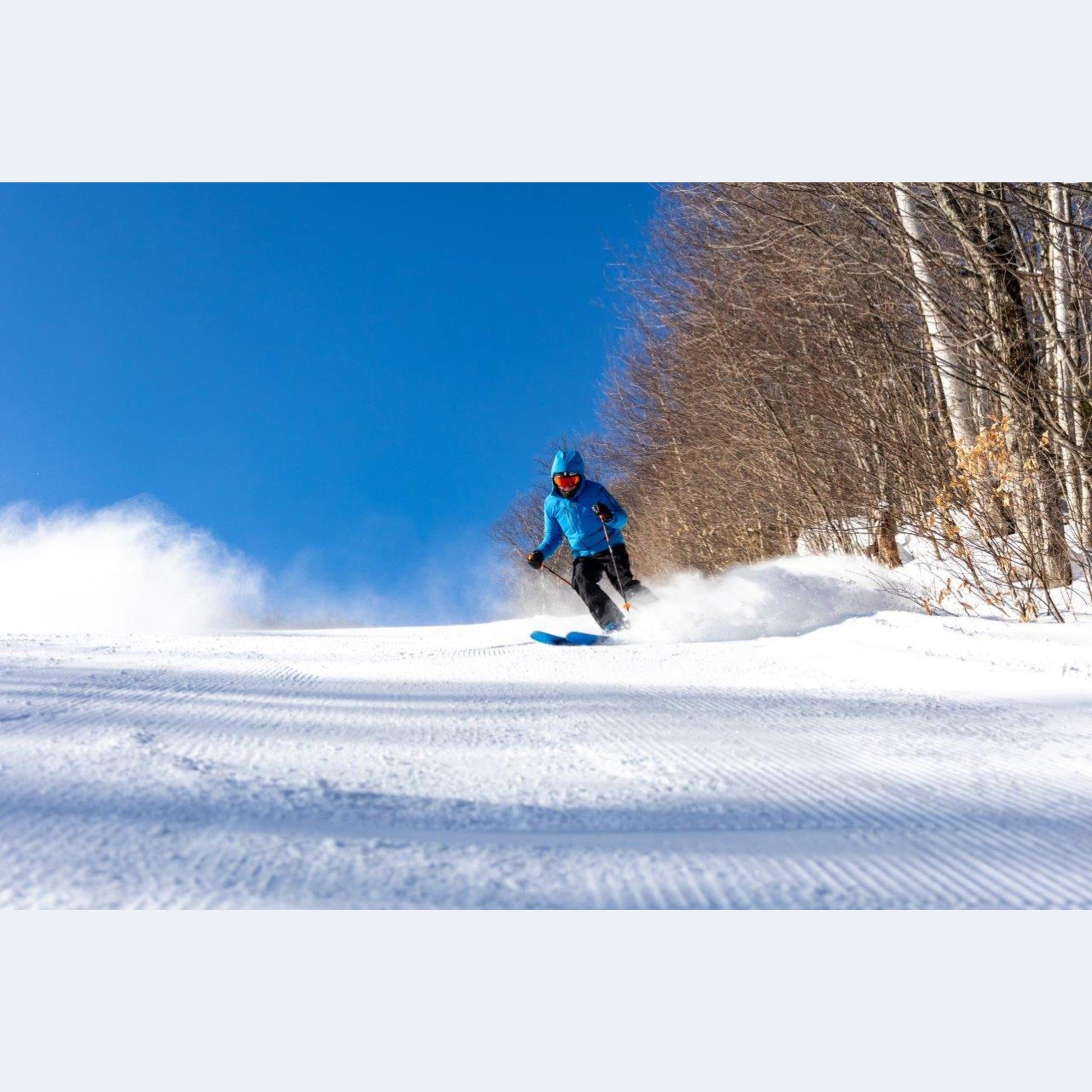 2024 Dynastar M-Free 99 Open Ski