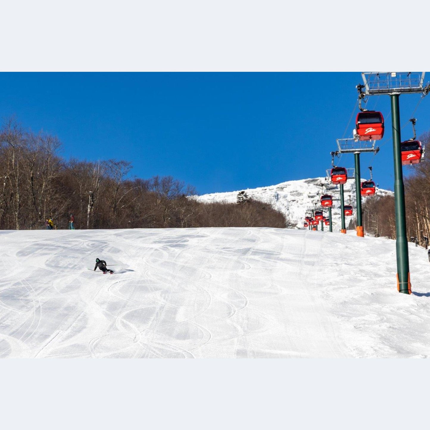 2024 Dynastar M-Pro 85 Open Ski