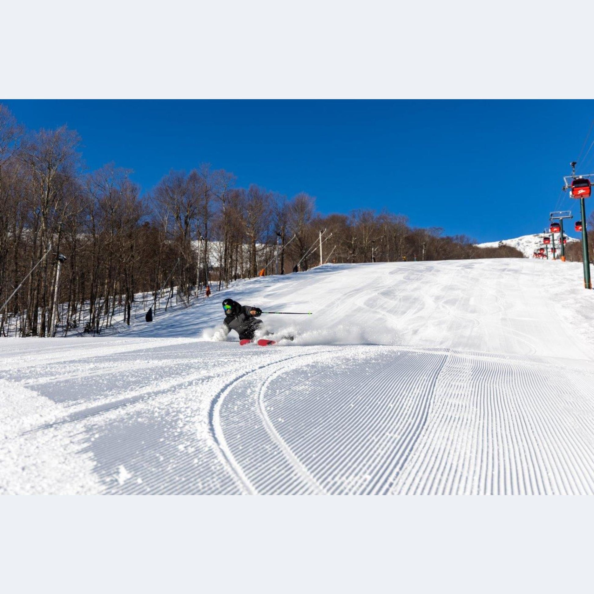 2024 Dynastar M-Pro 85 Open Ski