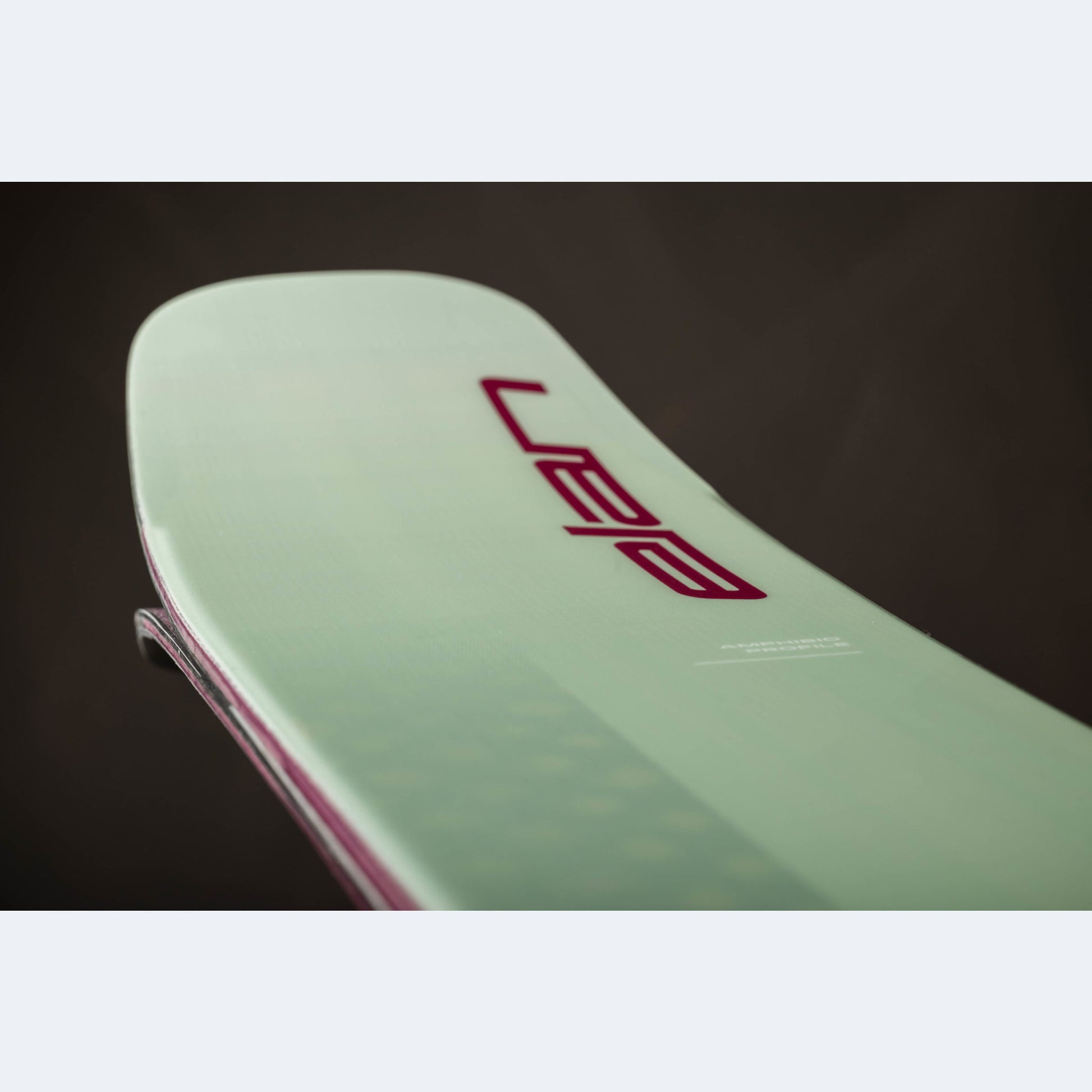 2024 Elan Ripstick 102 Women's Skis