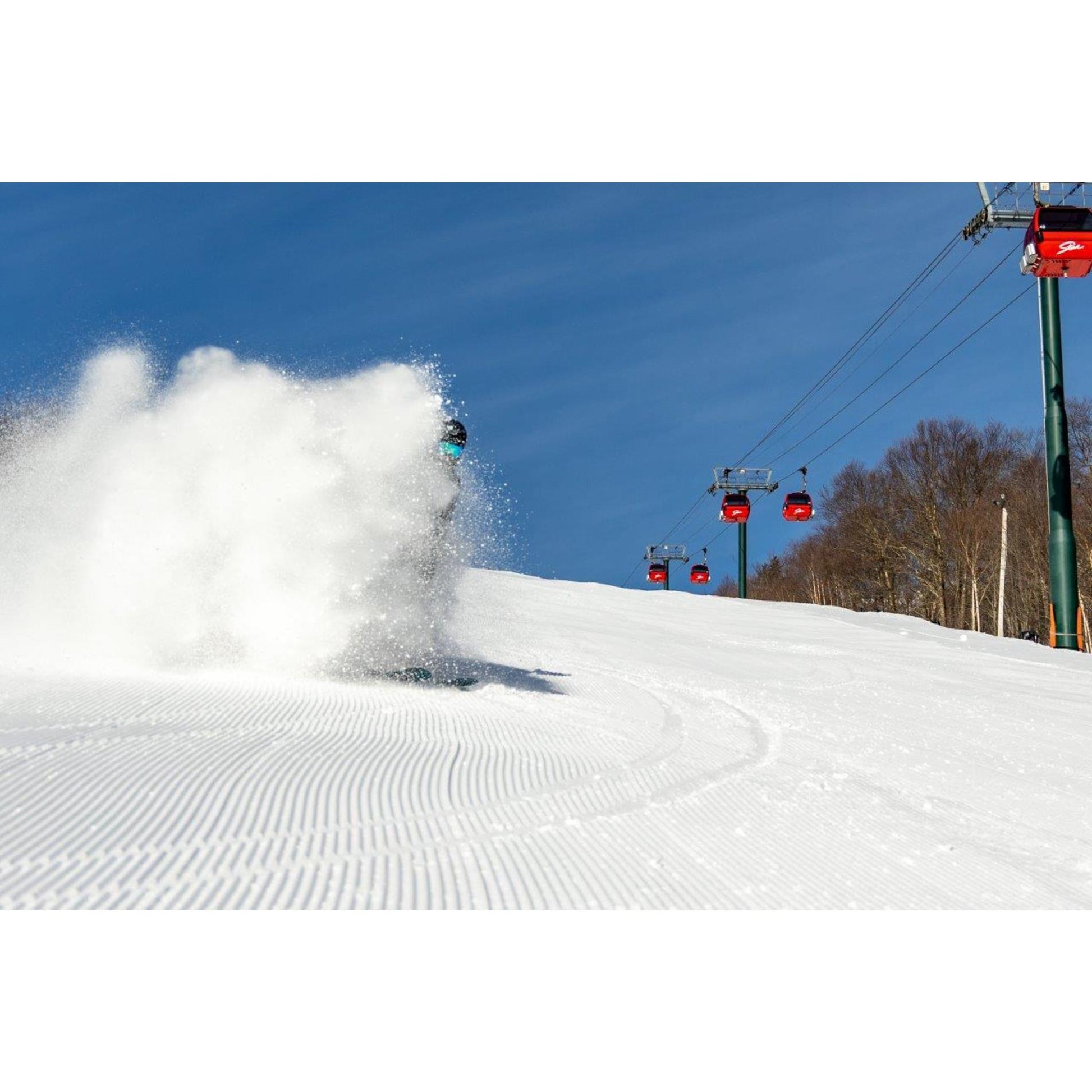 2024 Elan Ripstick 116 Skis