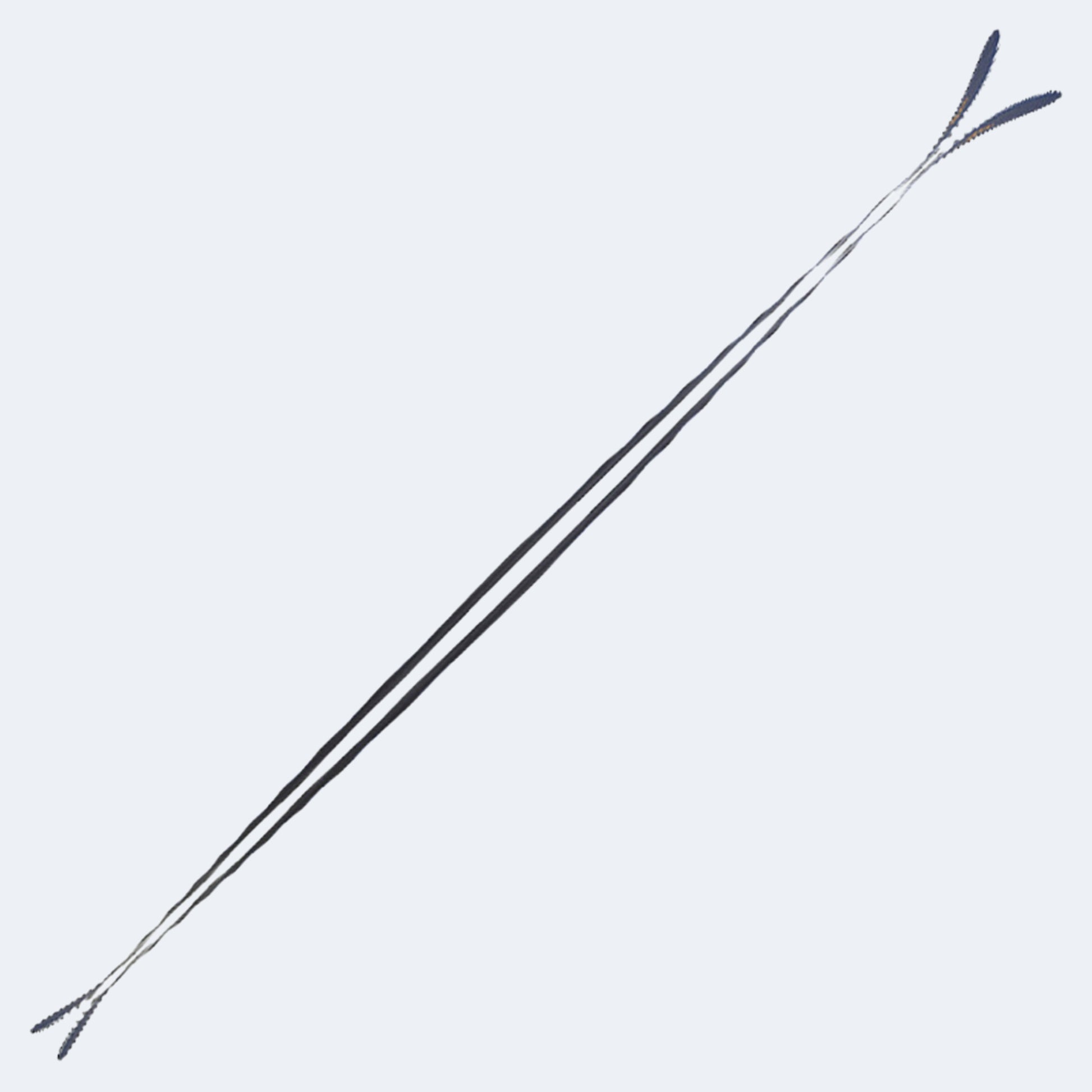 2024 Fischer Ranger Skis