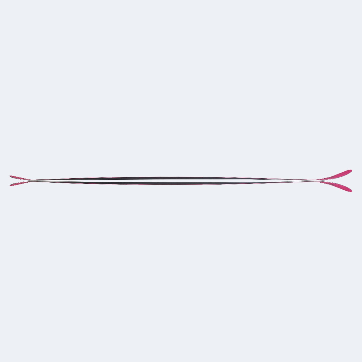 2024 Fischer Ranger Skis