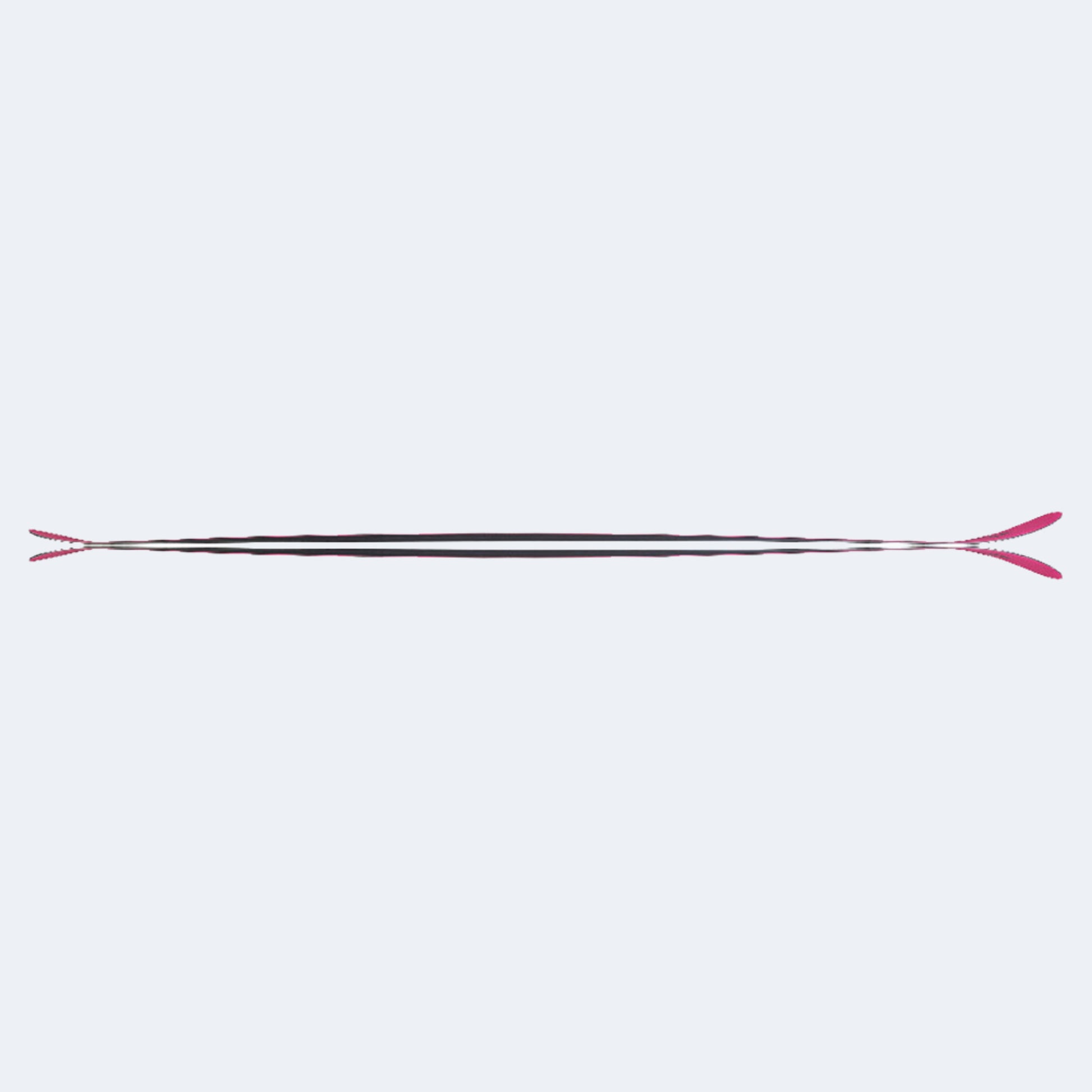 2024 Fischer Ranger Skis