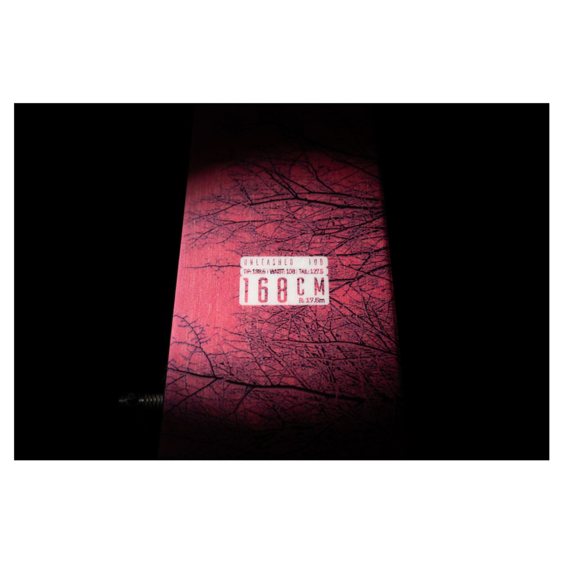 2024 Nordica Unleashed 108 Tree Ski