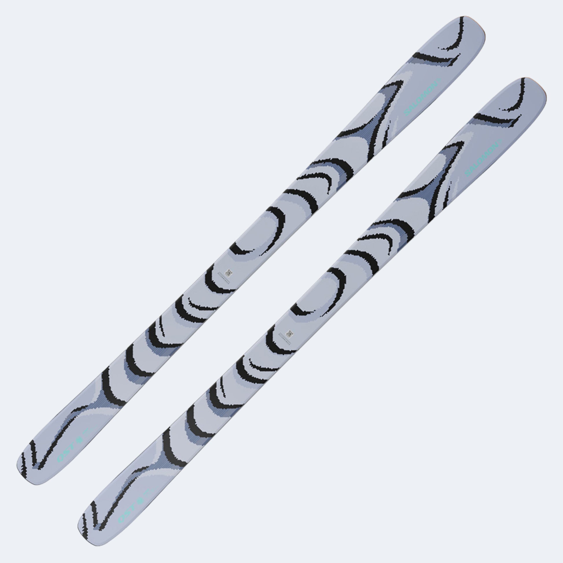 2026 Salomon QST 100 Skis