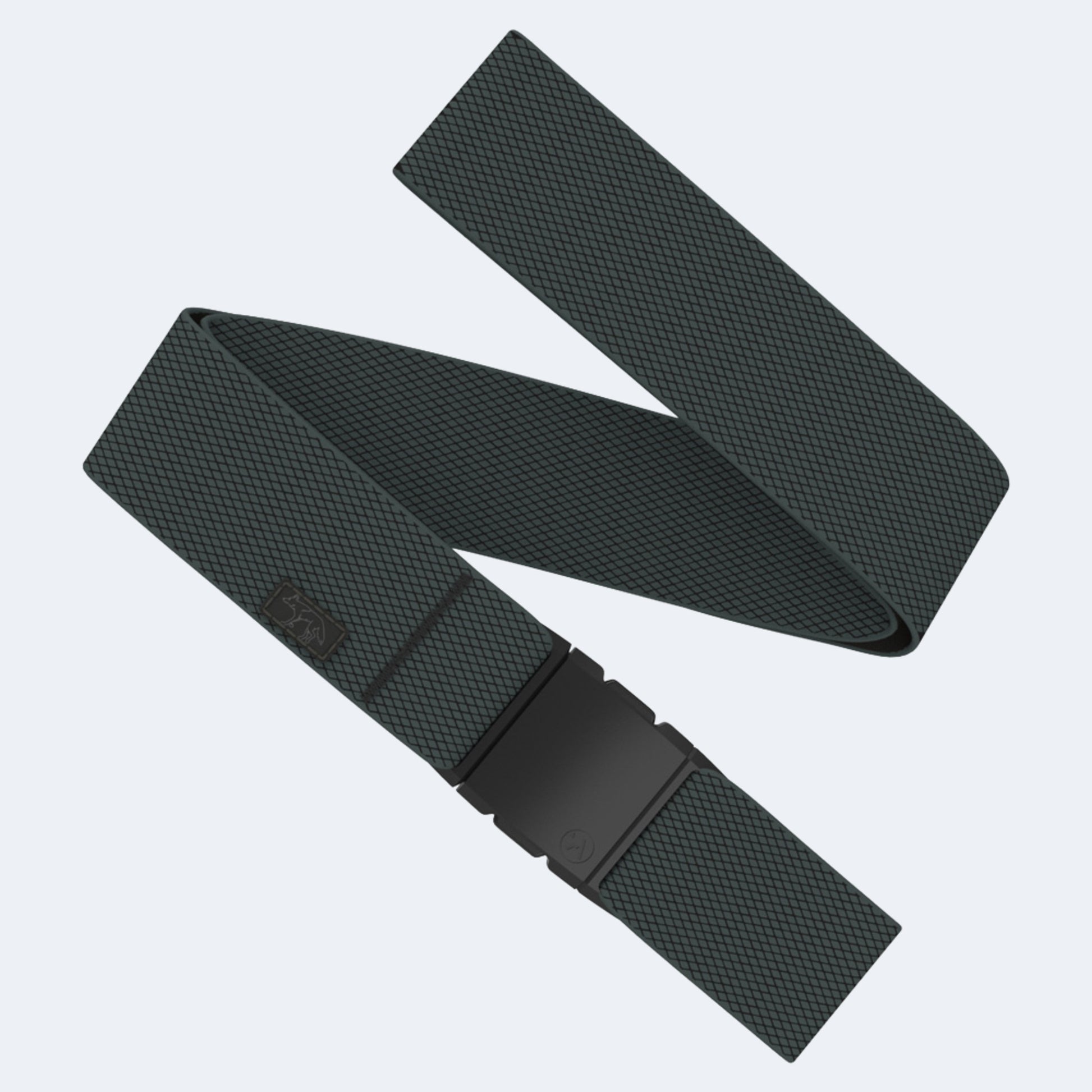 Arcade Carry Belt