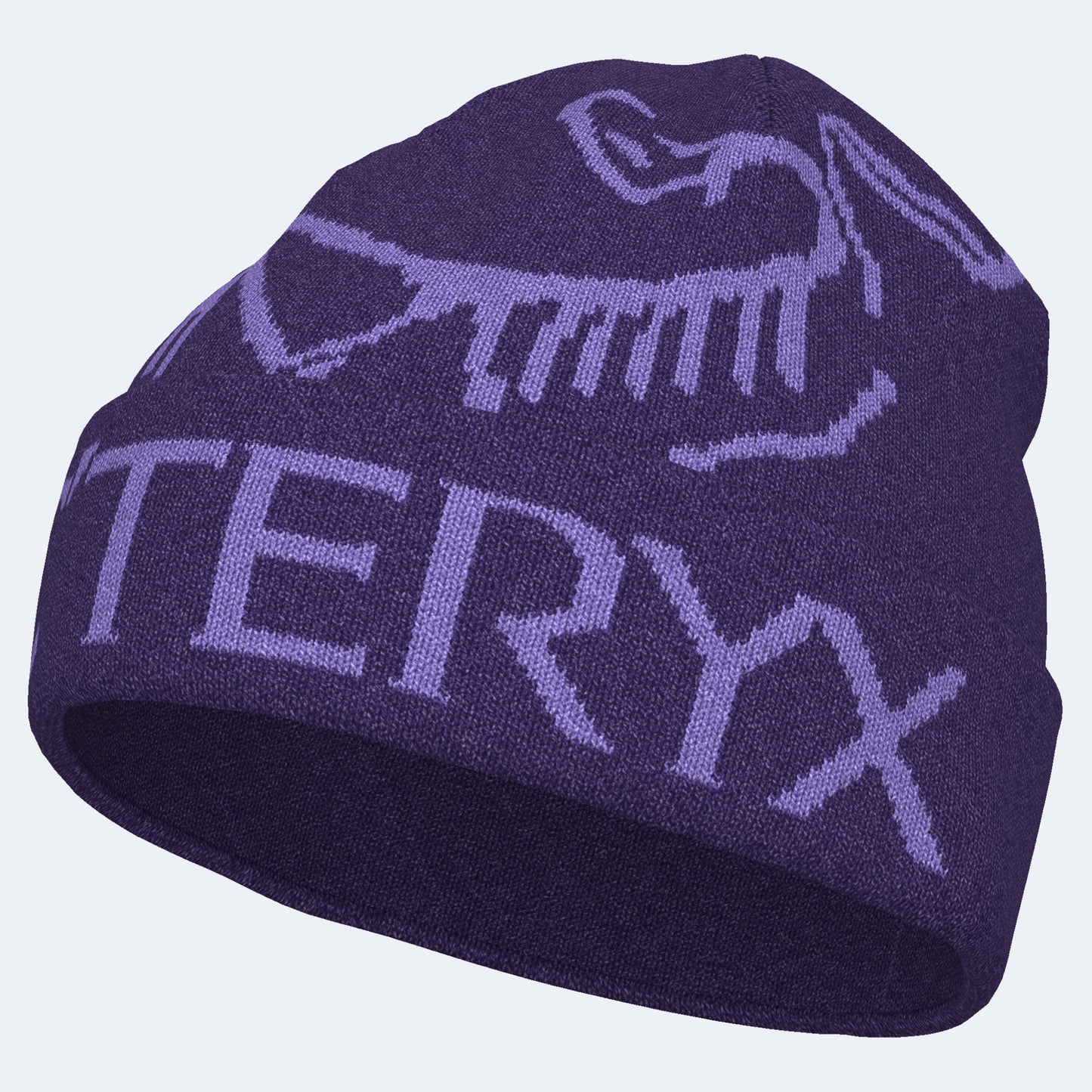 Arcteryx Bird Word Toque