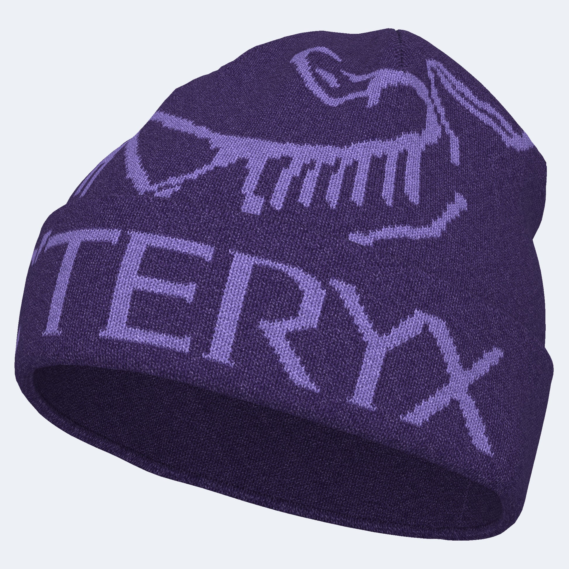 Arcteryx Bird Word Toque