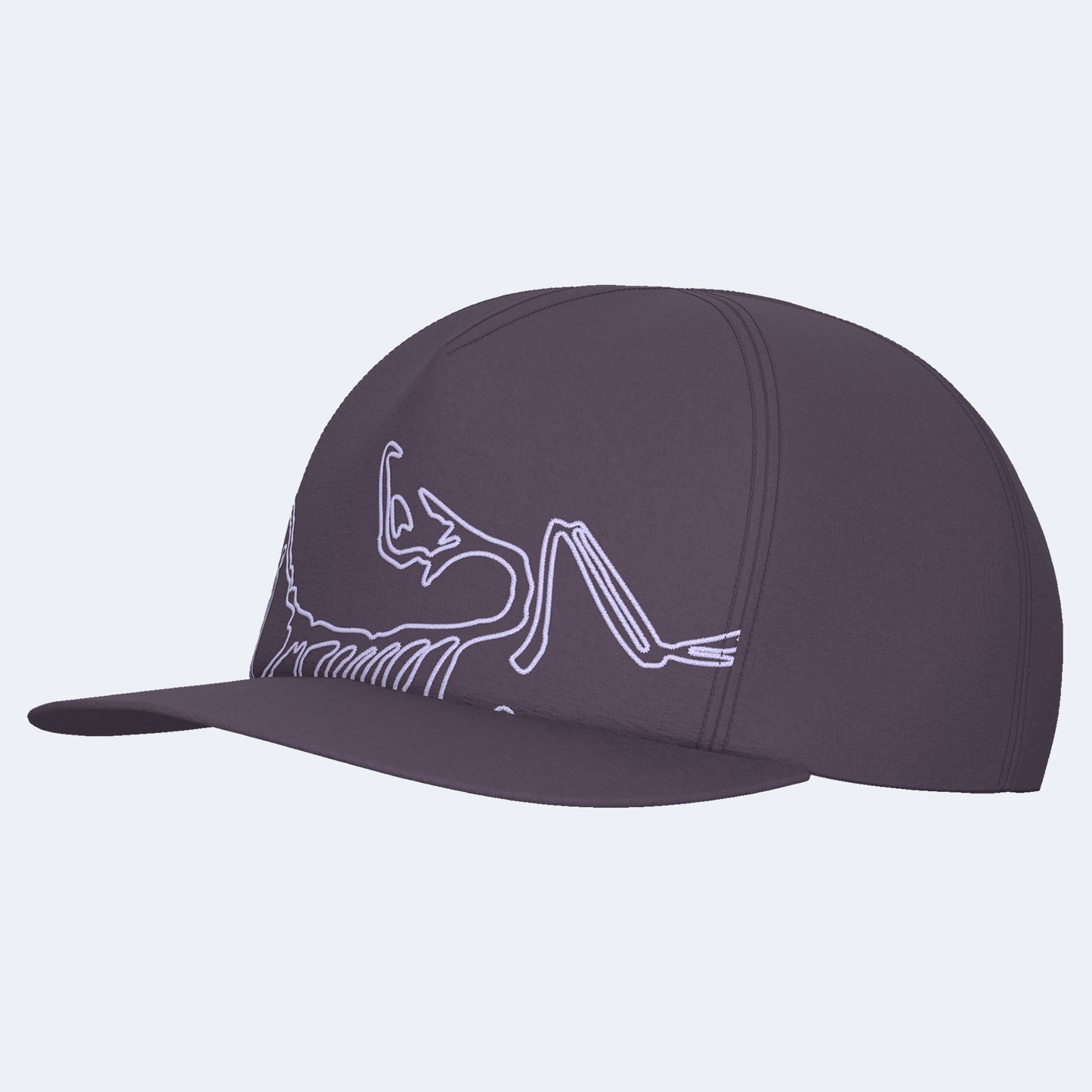 Arcteryx Silex Cap