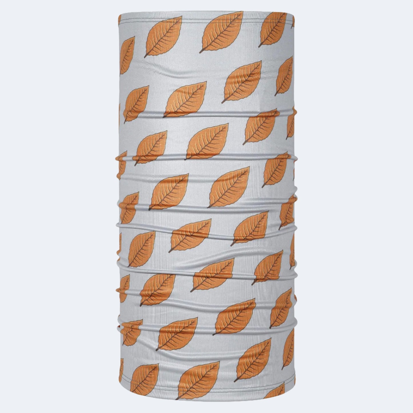 BlackStrap Therma Tube Neck Gaiter