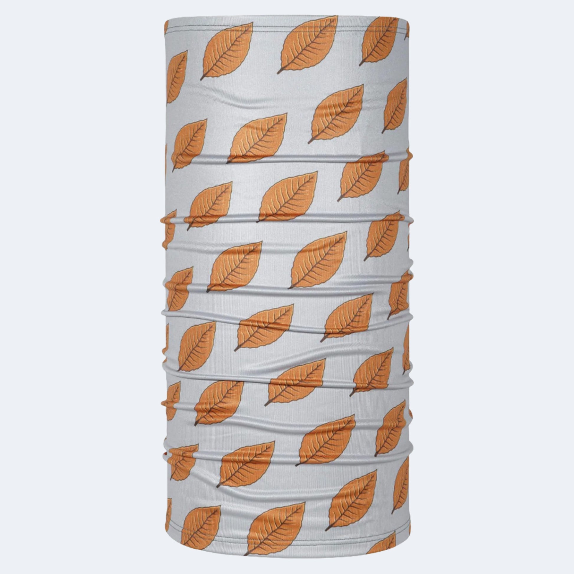 BlackStrap Therma Tube Neck Gaiter
