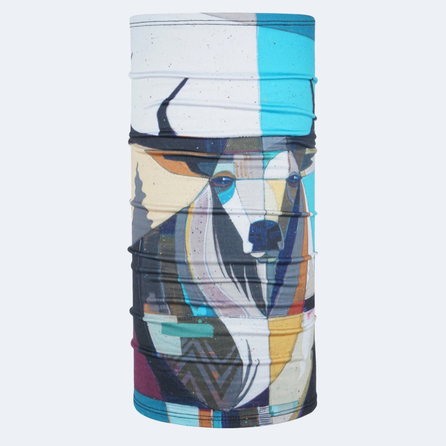 BlackStrap Therma Tube Neck Gaiter