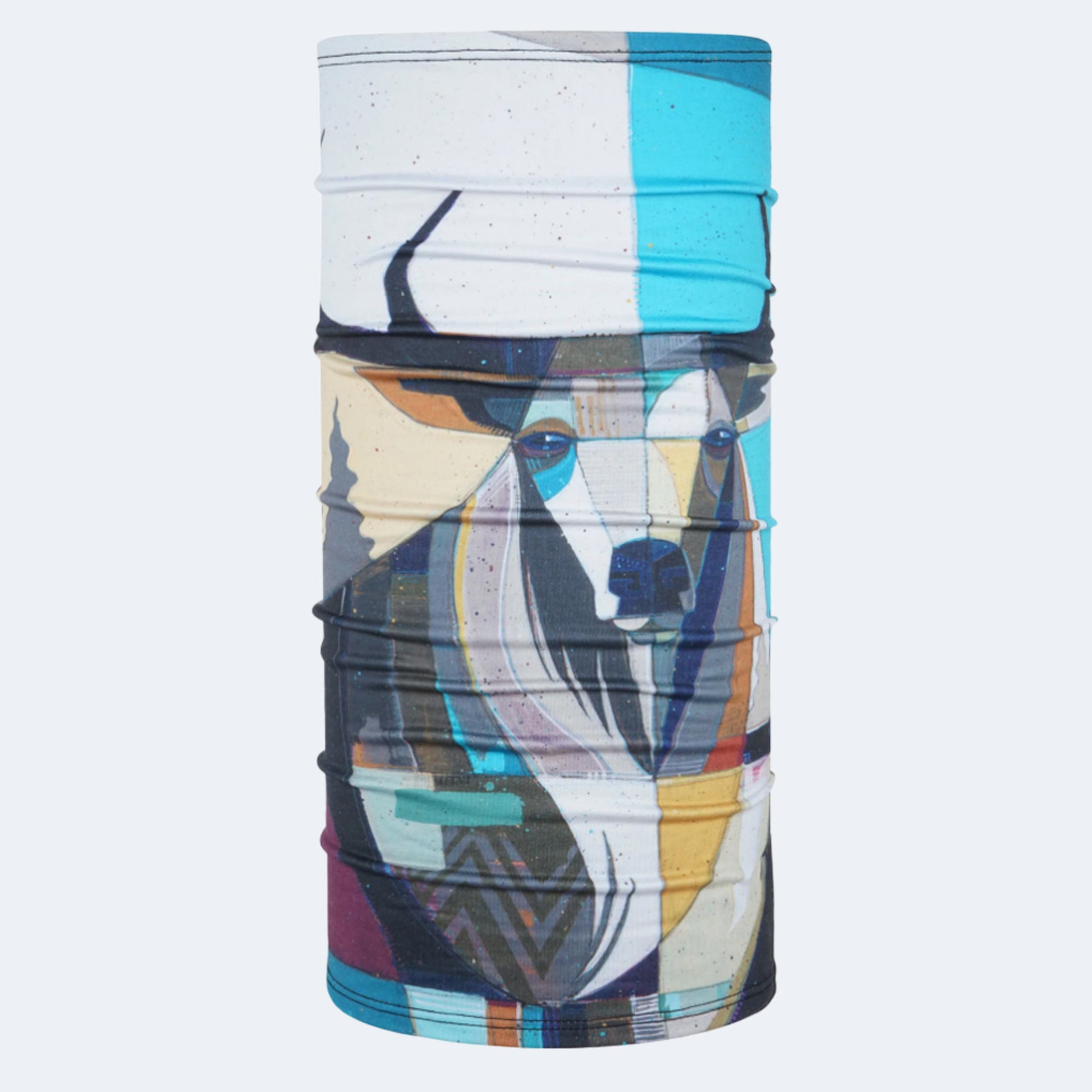 BlackStrap Therma Tube Neck Gaiter