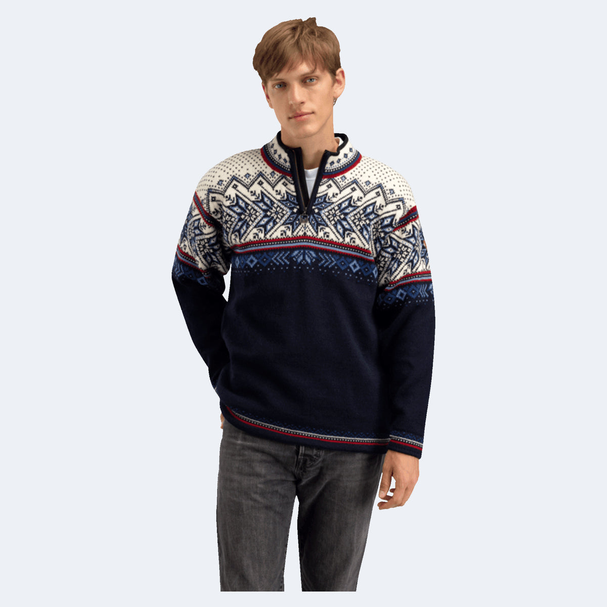 Dale of Norway Vail Men's Sweater