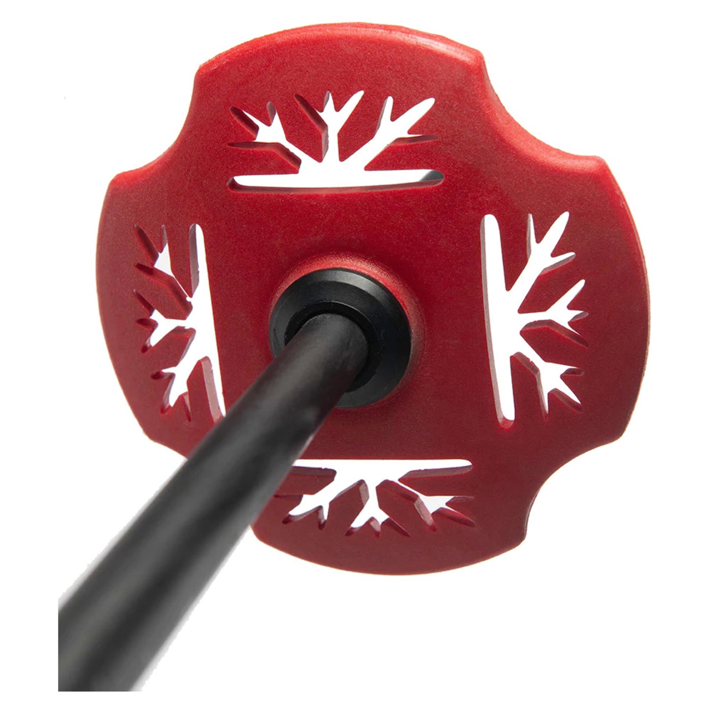 DPS Extendable Ski Pole - RED