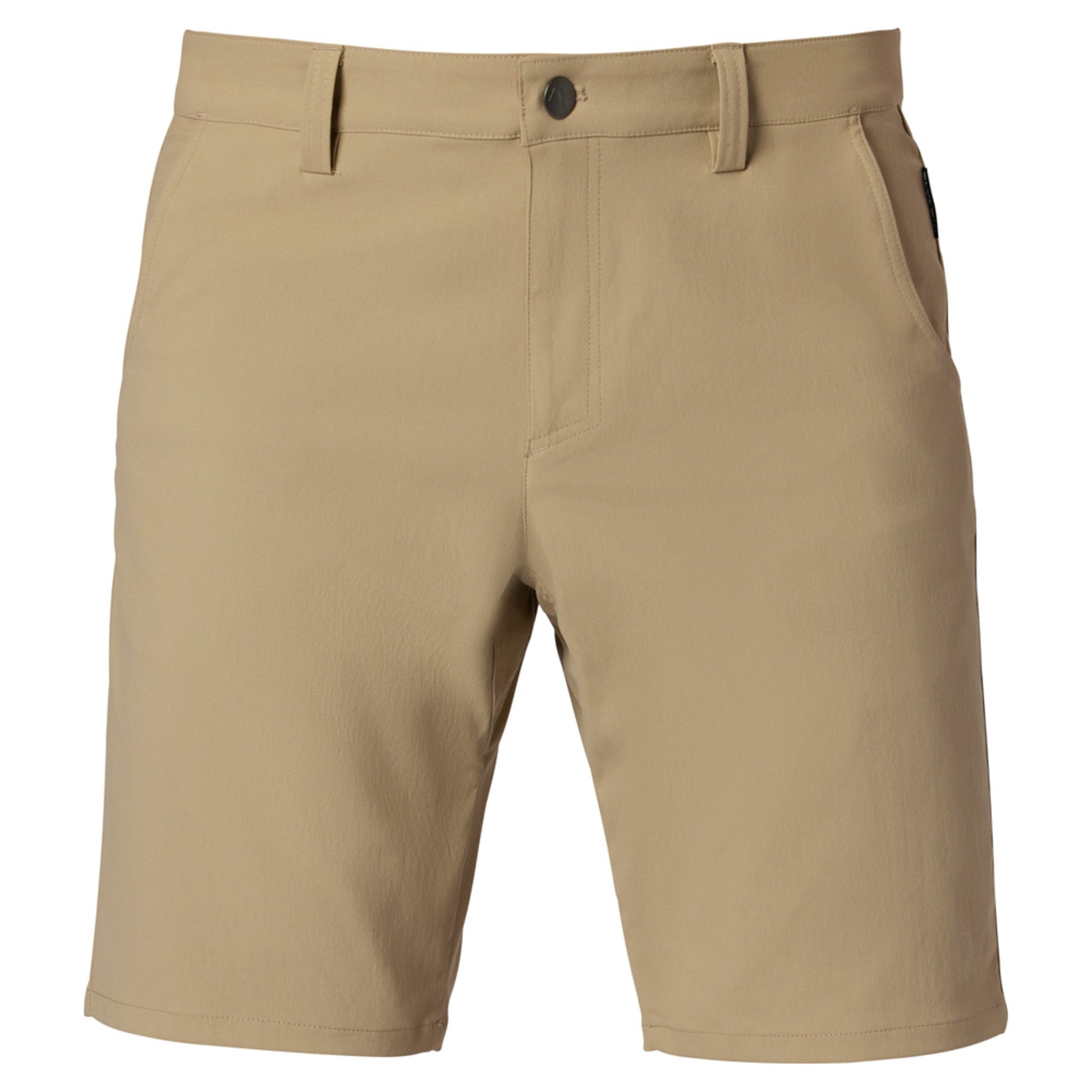 Flylow Hot Tub 9.5" Men's Shorts - MUSHROOM - 38