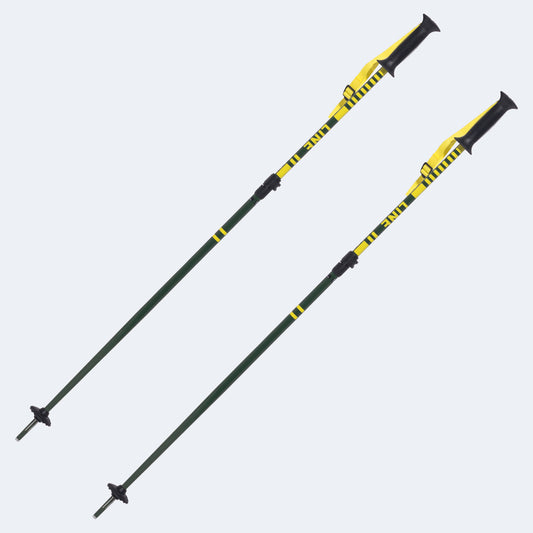 Line Get Up Ski Poles