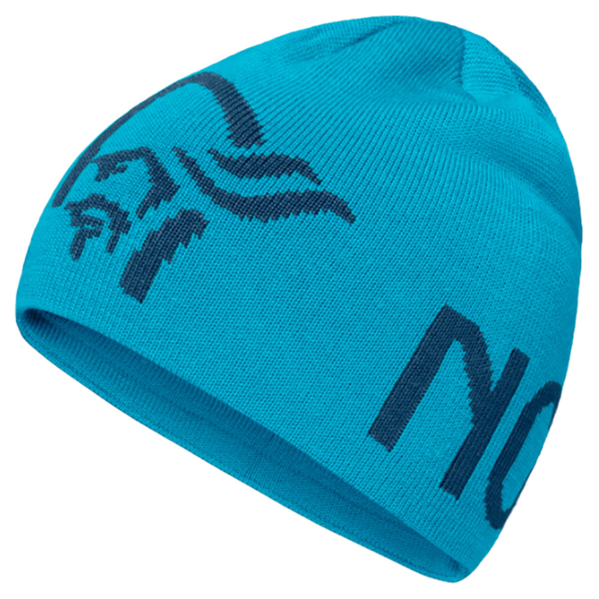Norrona /29 Logo Beanie