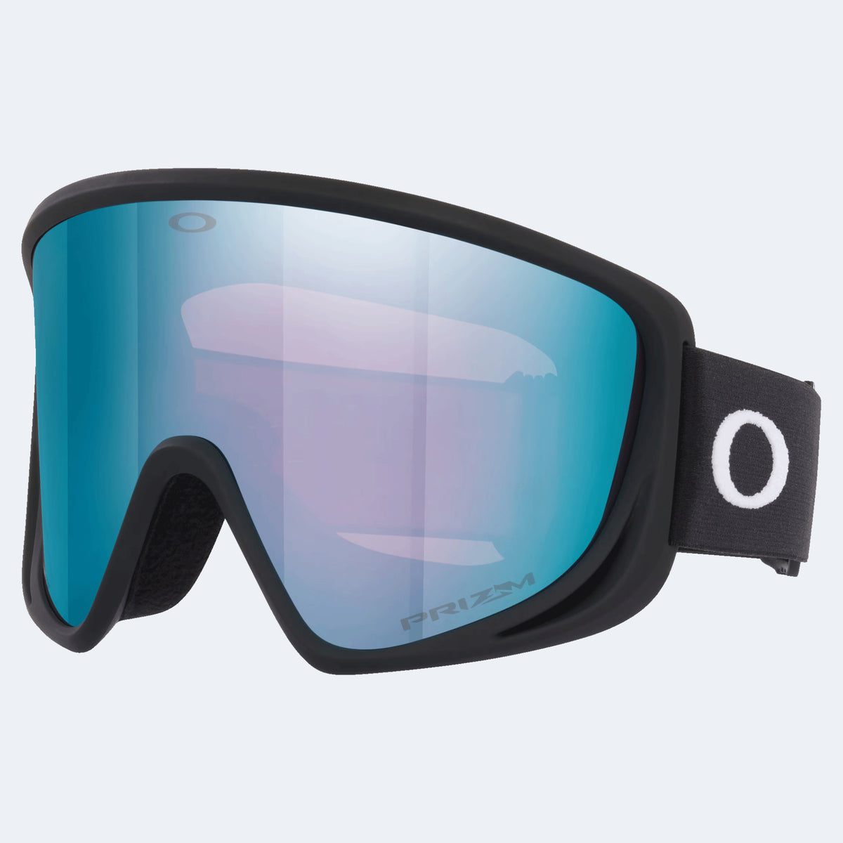 Oakley Mont Scape L Goggle