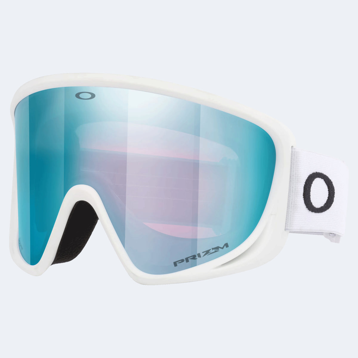 Oakley Mont Scape L Goggle