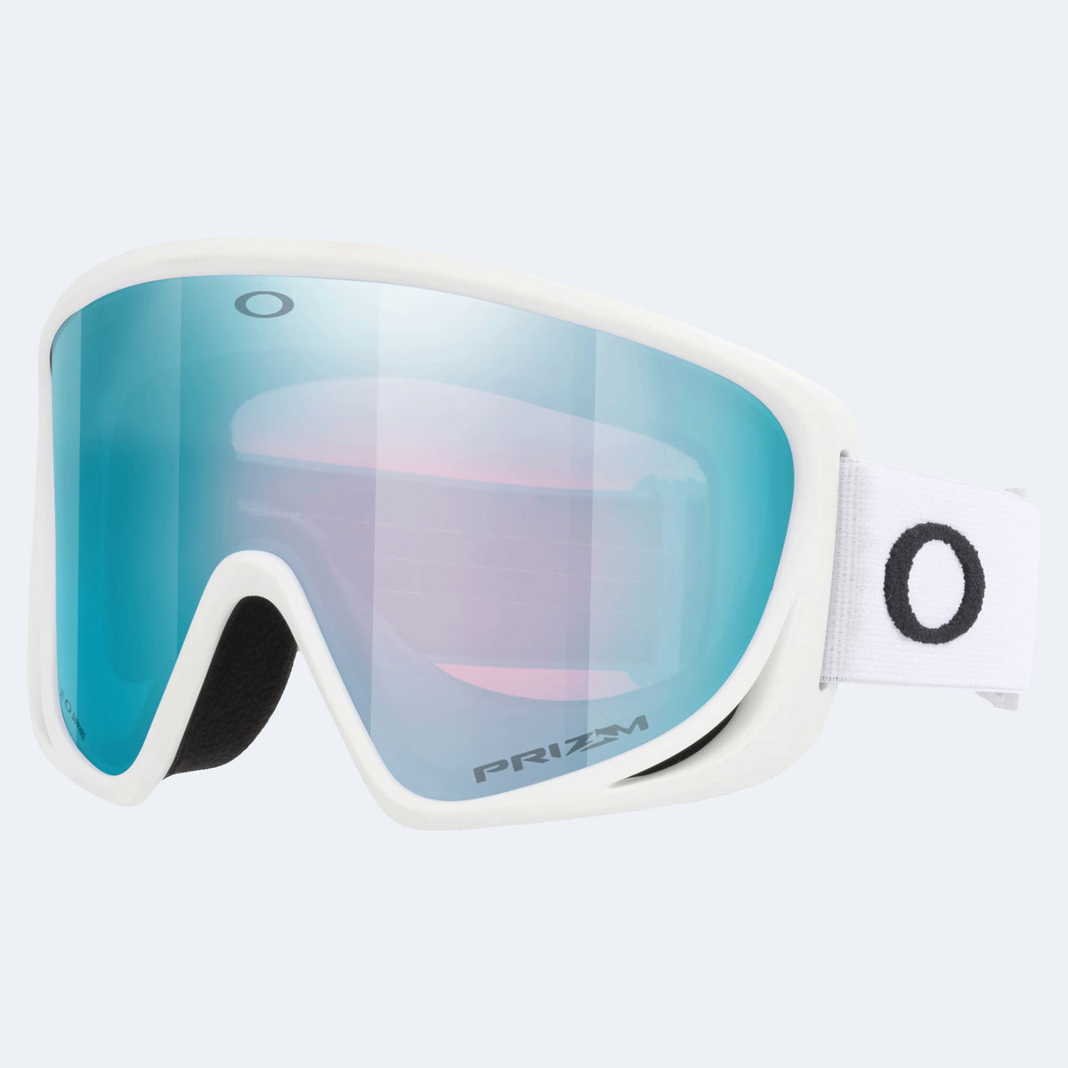 Oakley Mont Scape M Goggle